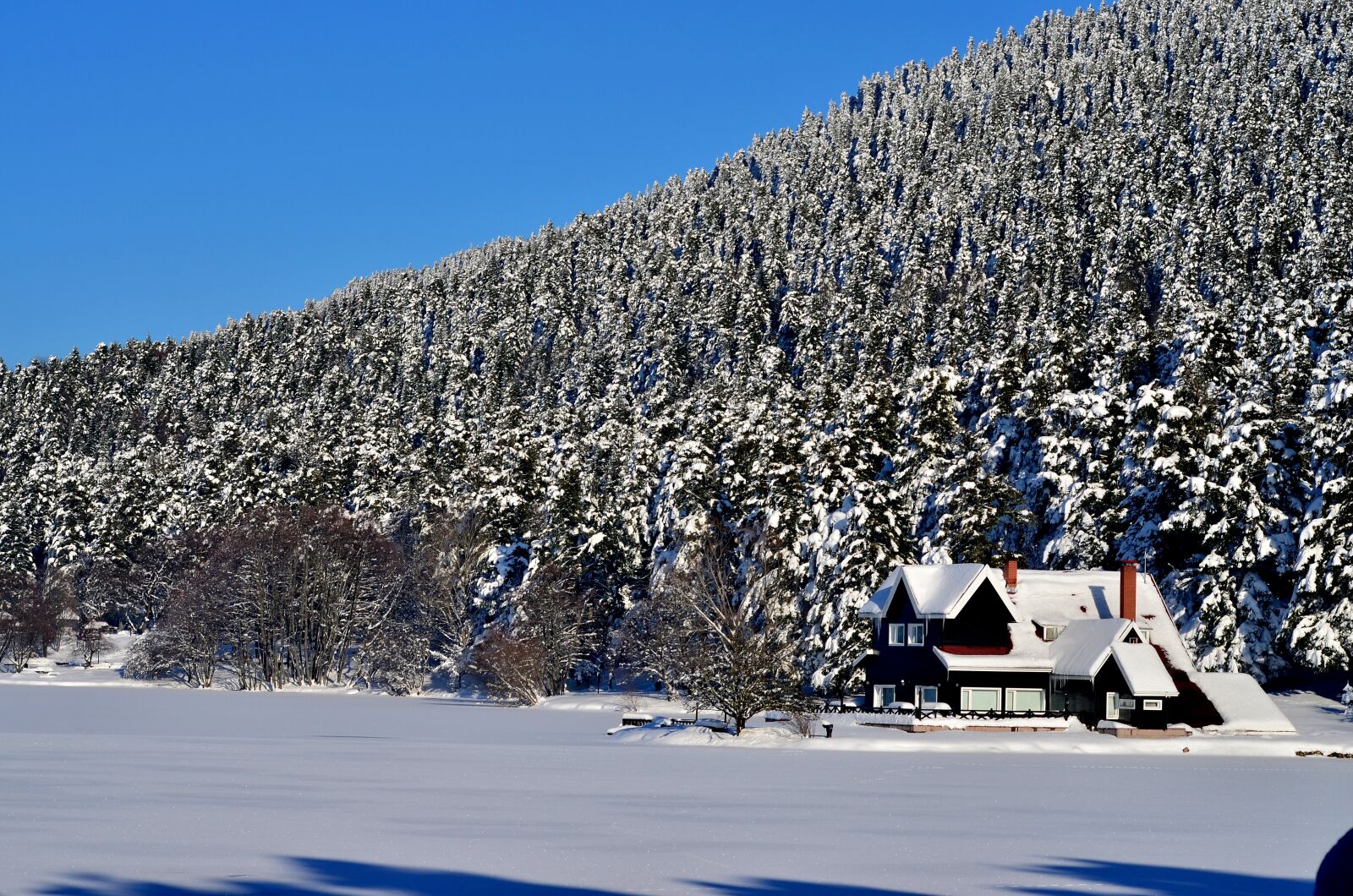Nikon D5100 sample photo. Winter, snow, snow landscape photography