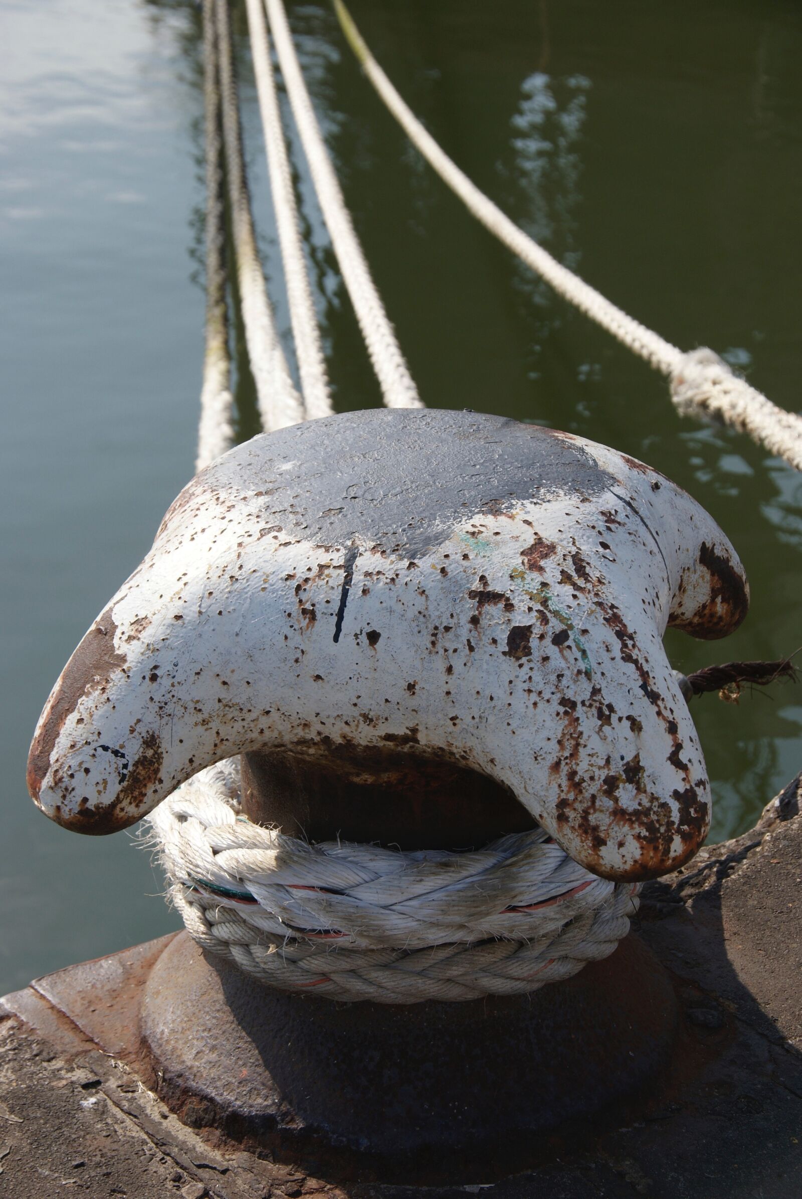 Sony Alpha DSLR-A300 sample photo. Shipping, rope, quay photography