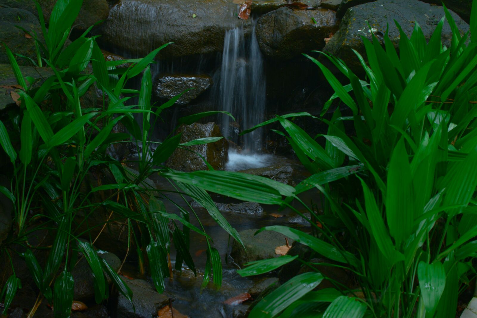 Nikon D800E sample photo. Waterfall, nature, water photography