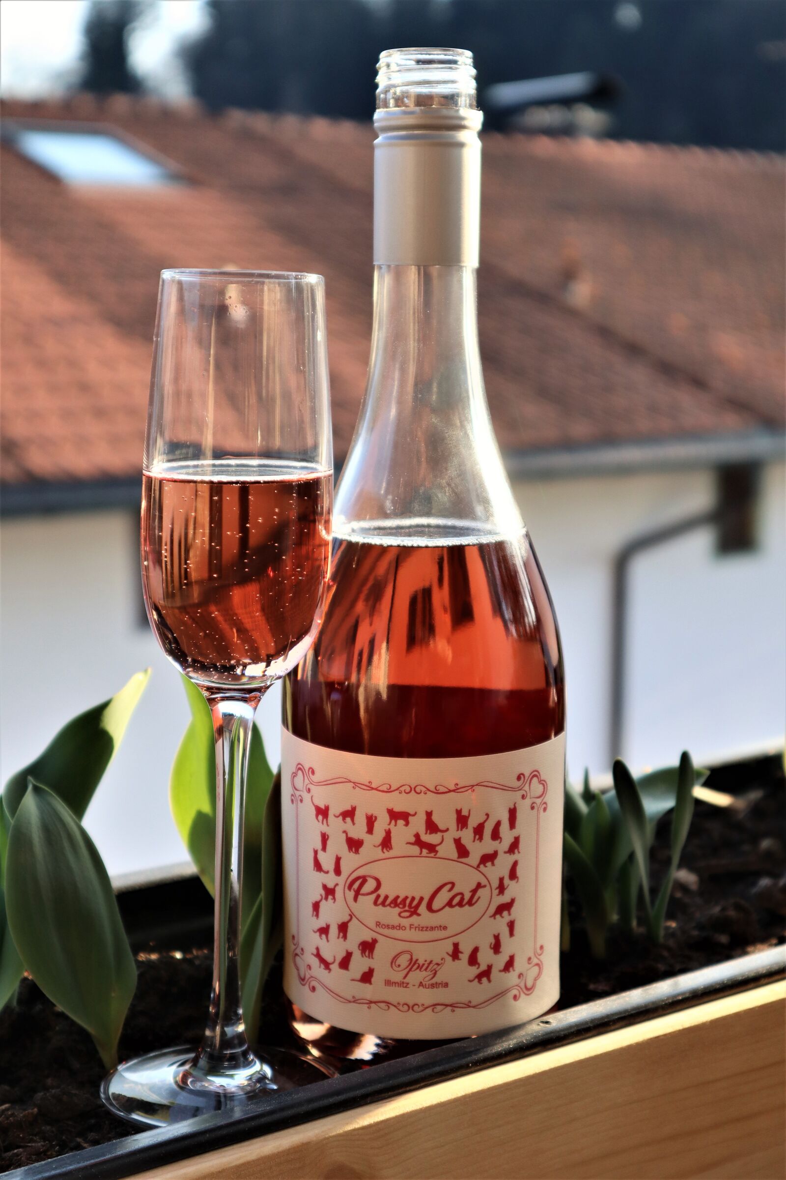 Canon EOS M50 (EOS Kiss M) sample photo. Prosecco, wine, champagne photography