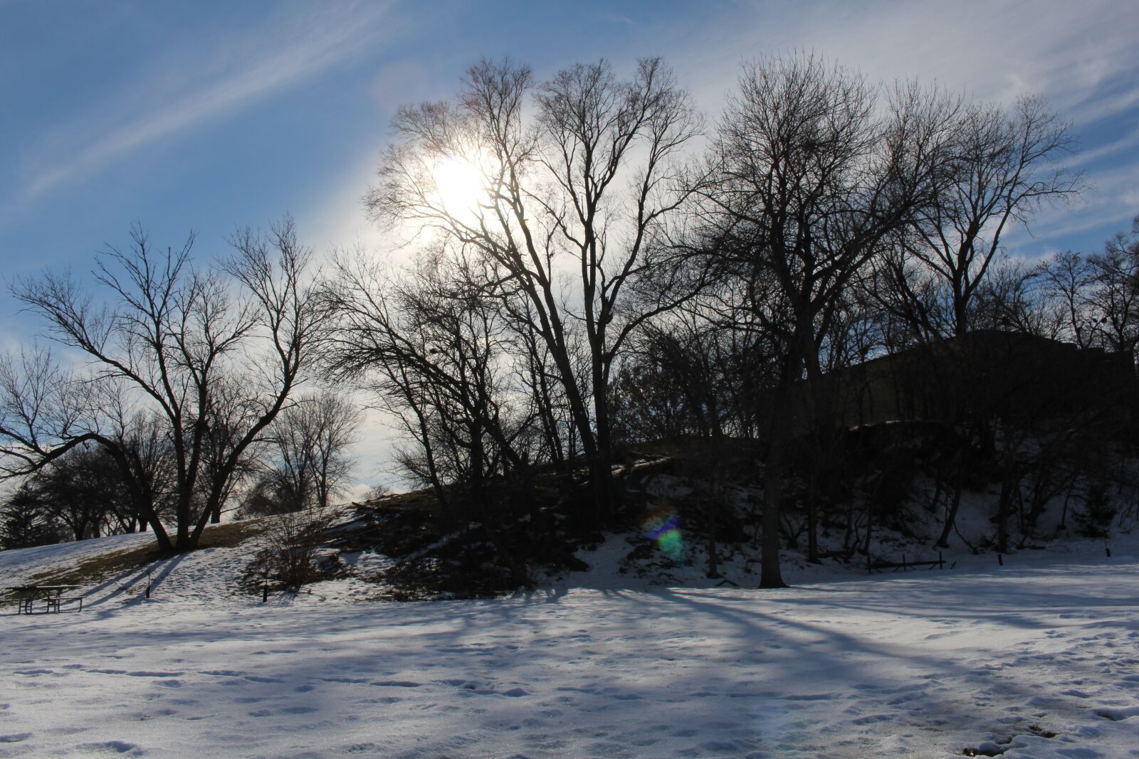 Canon EOS 700D (EOS Rebel T5i / EOS Kiss X7i) sample photo. Trees, forest, landscape photography