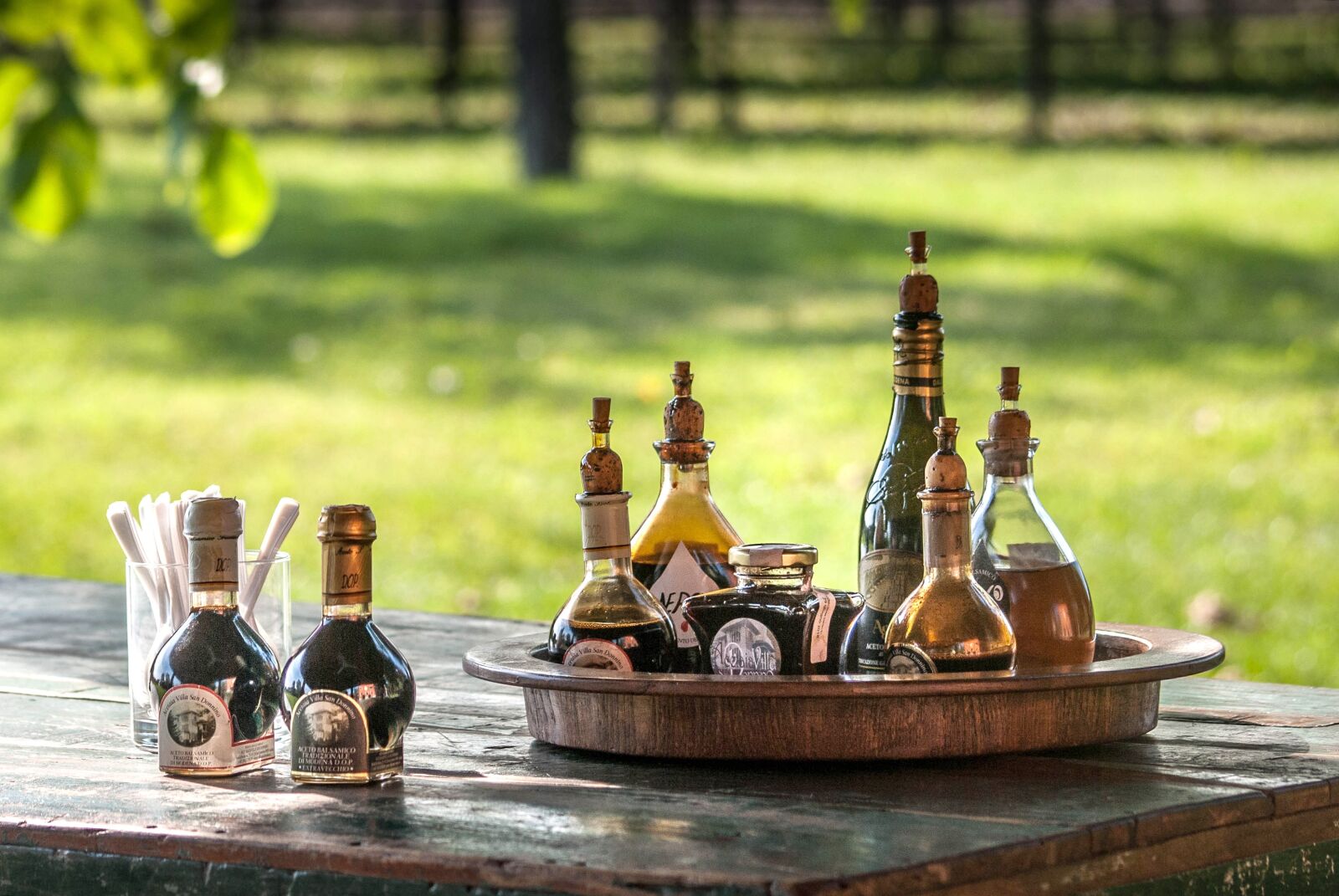 Nikon D60 sample photo. Vineyard, oil, green photography