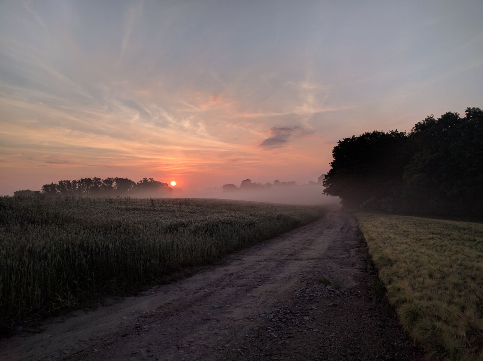 Google Nexus 6P sample photo. Countryside, dirt road, fields photography