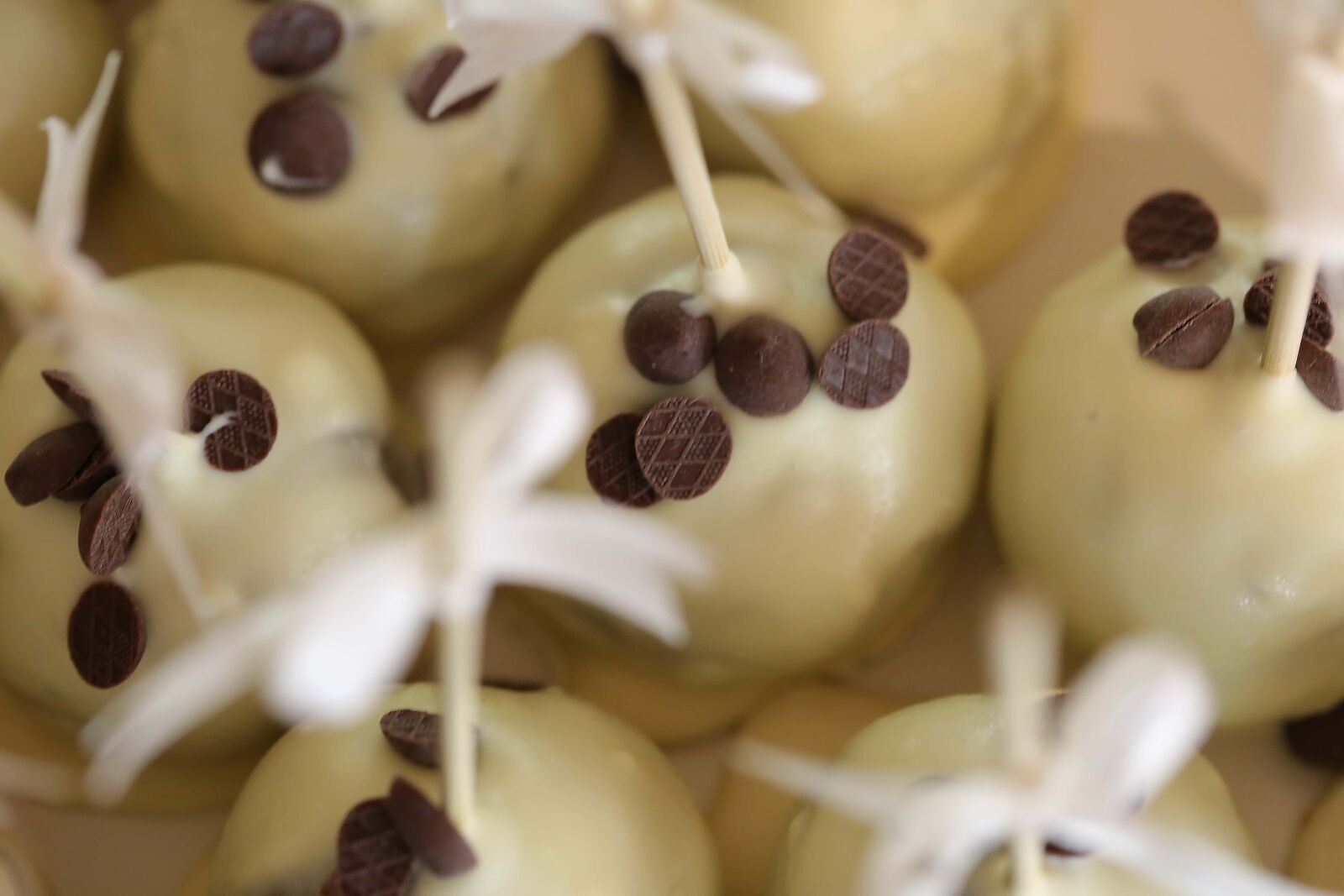 Canon EF 100mm F2.8 Macro USM sample photo. Lollipop, chocolate, white, sticks photography