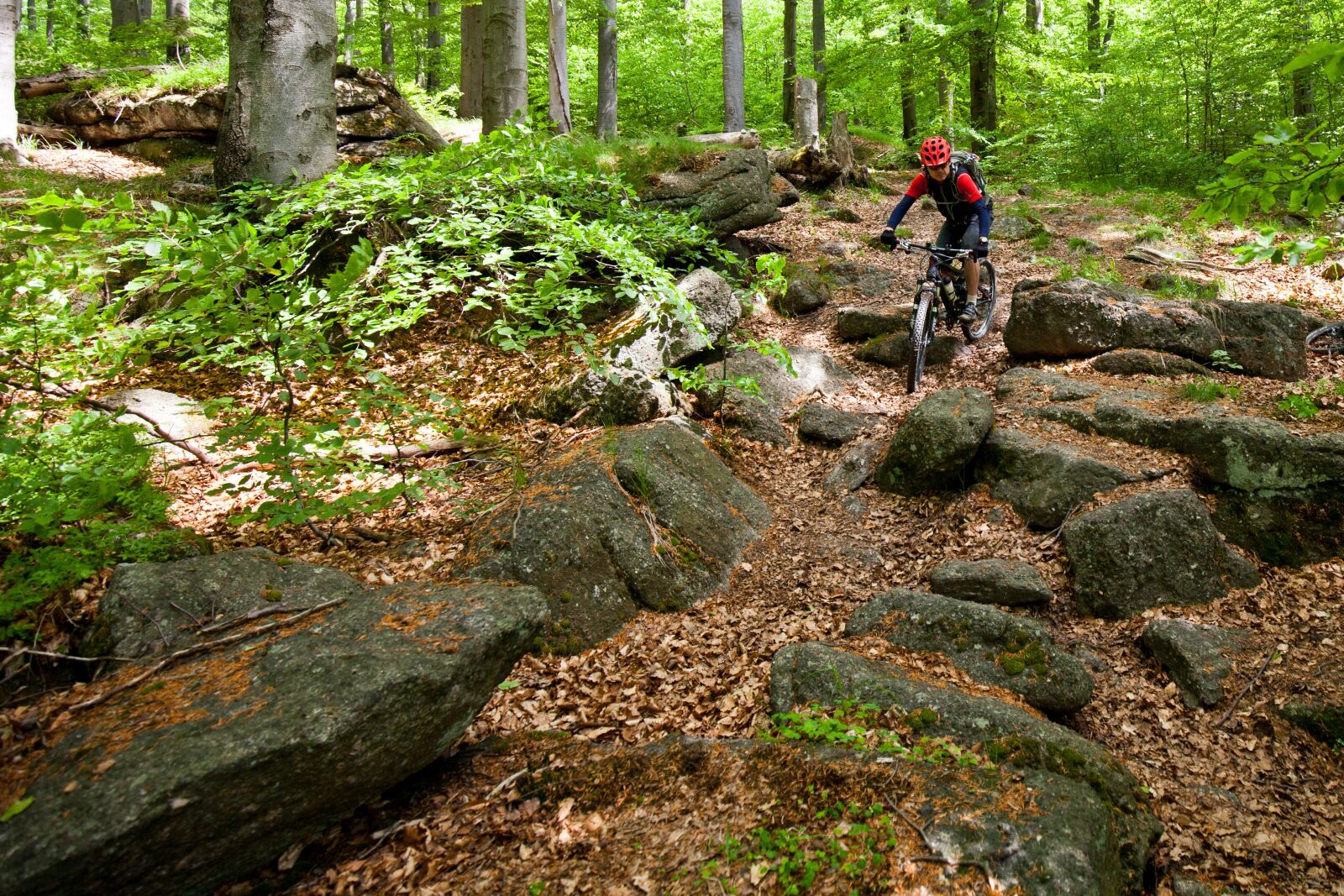 Canon EOS 5D Mark II sample photo. Cyclist, forest, stones photography