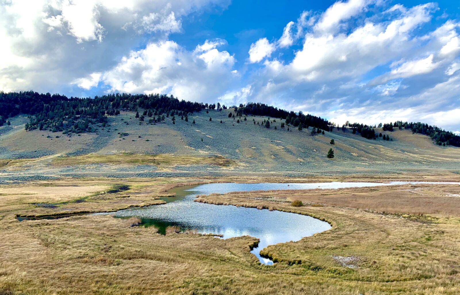 Apple iPhone XS sample photo. Yellowstone, fields, nature photography