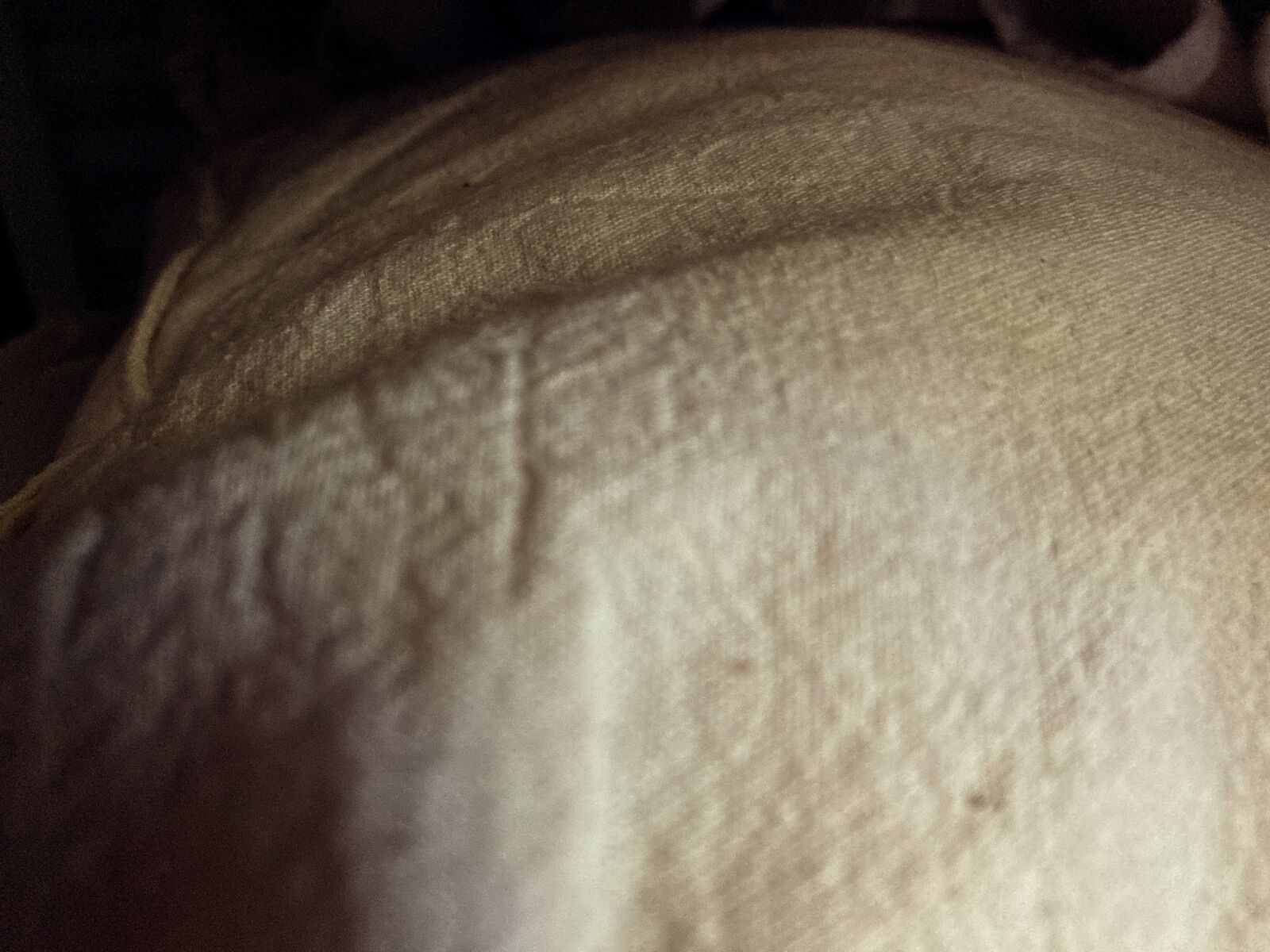 Apple iPhone SE (2nd generation) sample photo. Pillow, cloth, fabric photography