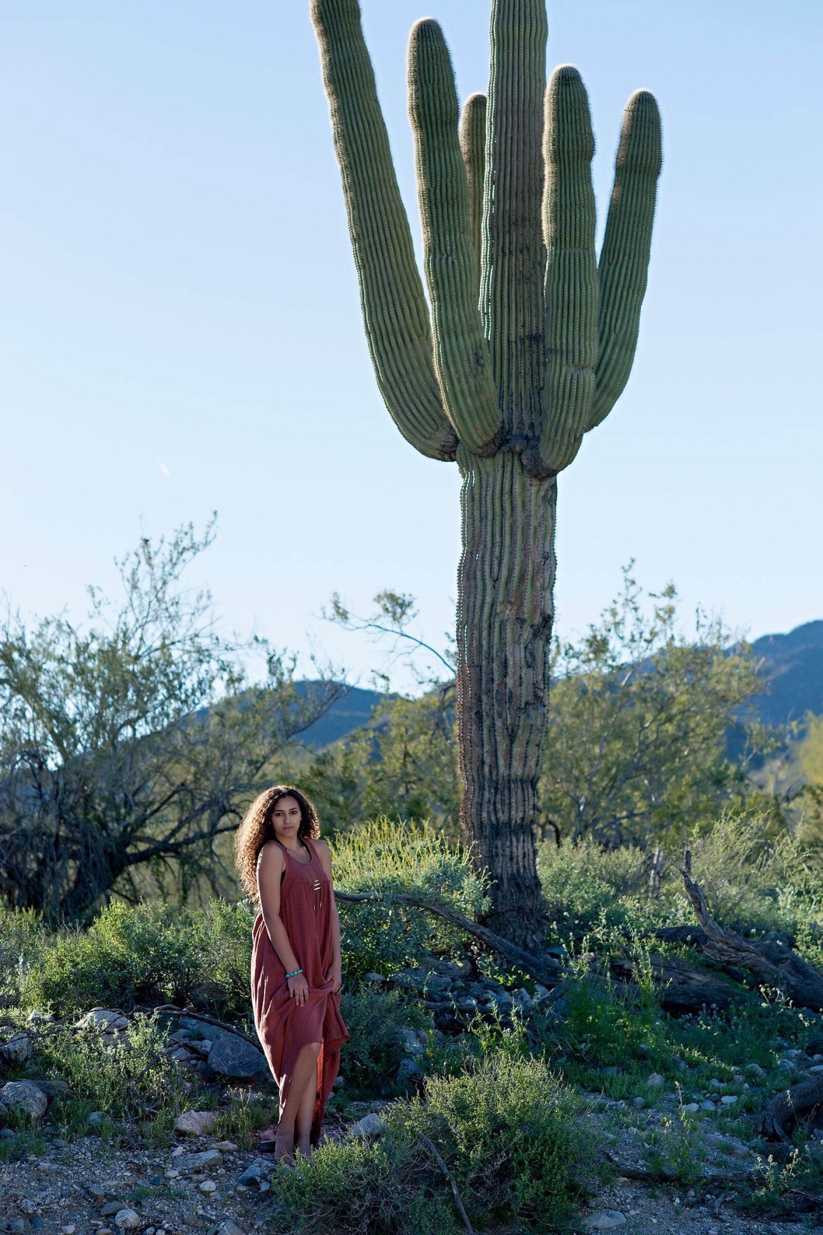 Nikon D800 sample photo. Desert, cactus, road photography