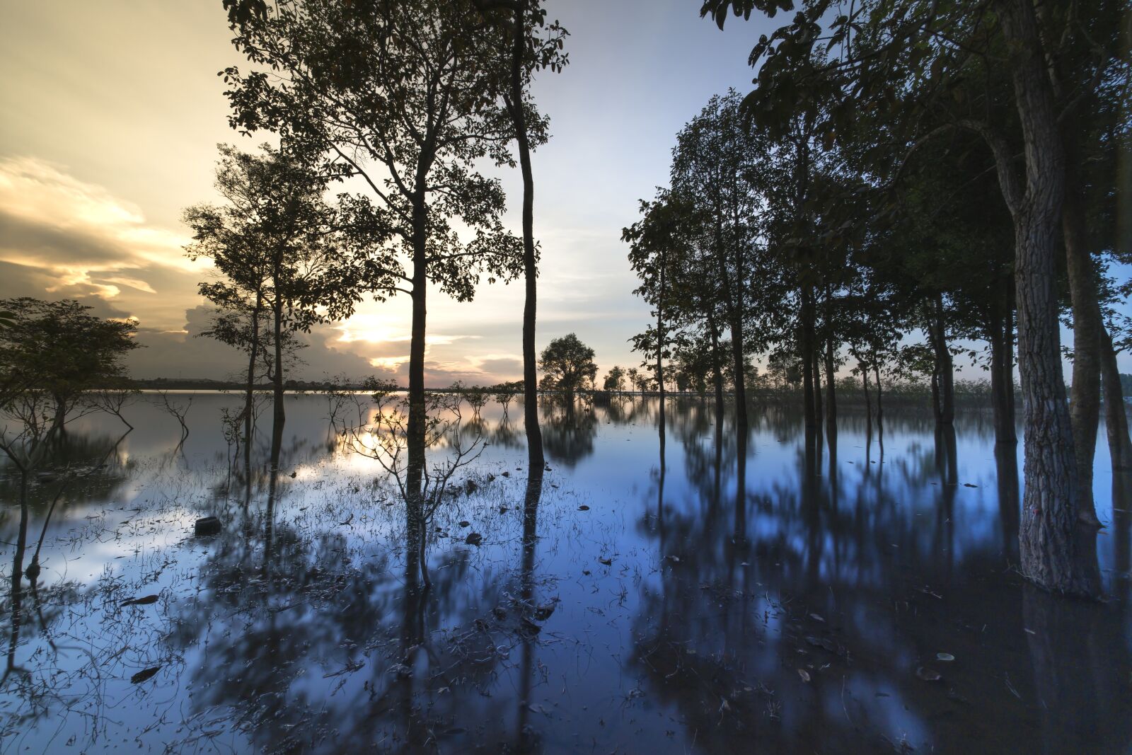 Voigtlander ULTRA WIDE-HELIAR 12mm F5.6 III sample photo. Sunset, outdoor, tree photography