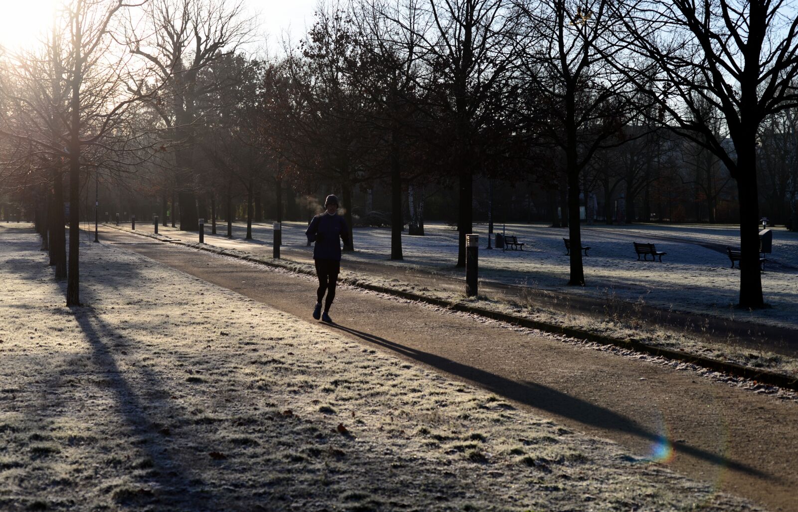 Nikon D610 sample photo. Winter, jogging, park photography