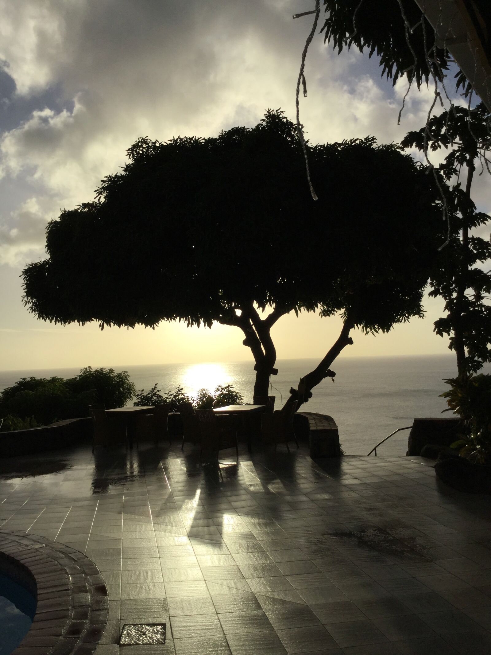 Apple iPad mini 4 sample photo. Tree silhouette, sunset, paradise photography