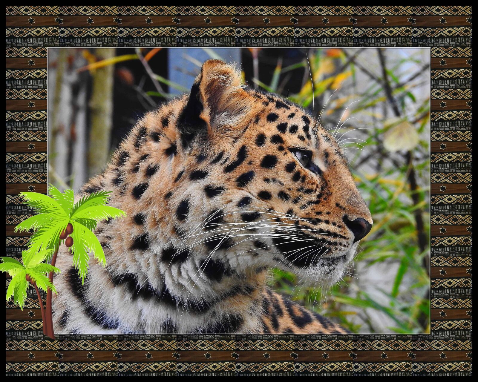 Nikon Coolpix P900 sample photo. Leopard, photomontage, frame, animal photography