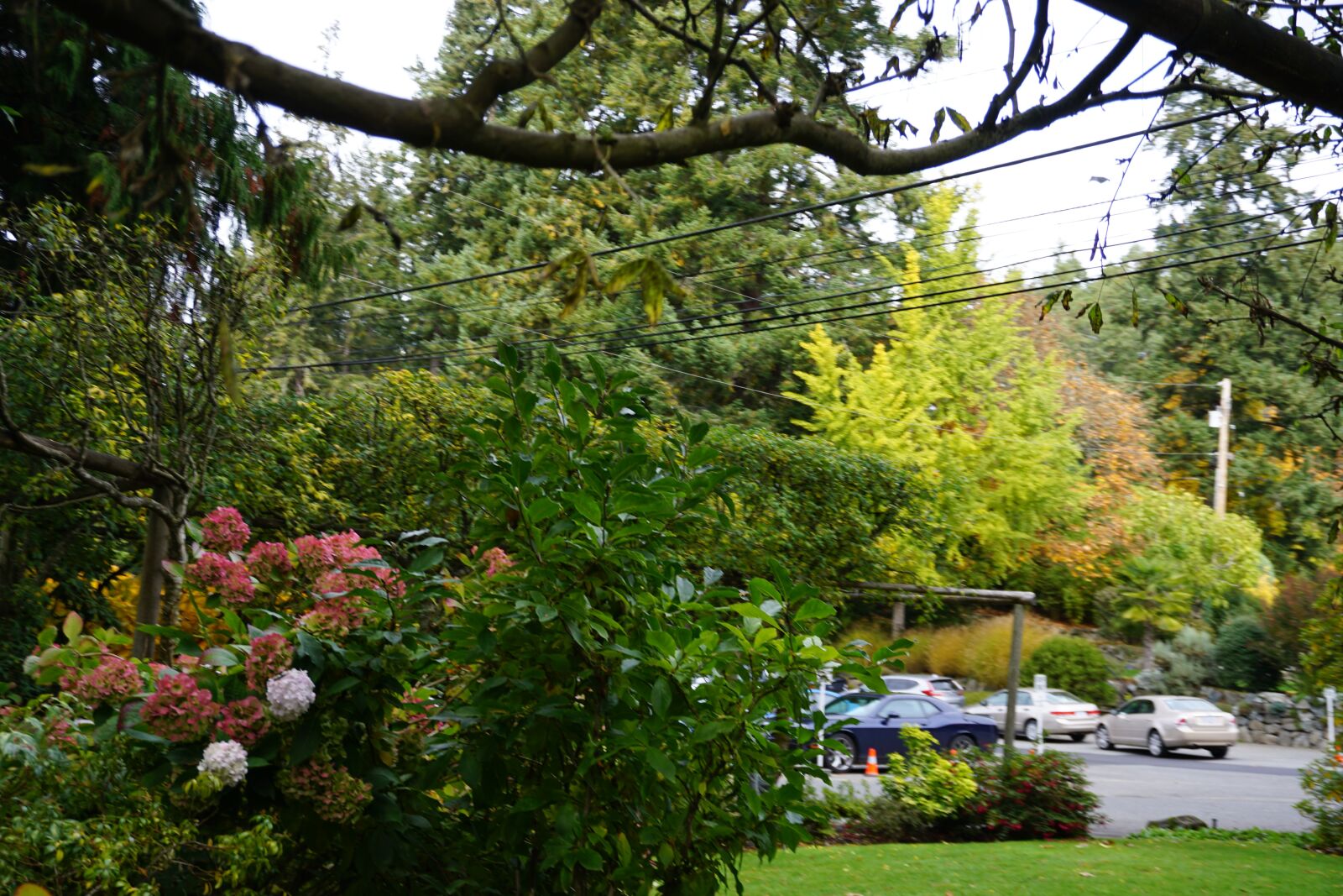 Sony a6000 sample photo. Butchart garden, victoria, british photography