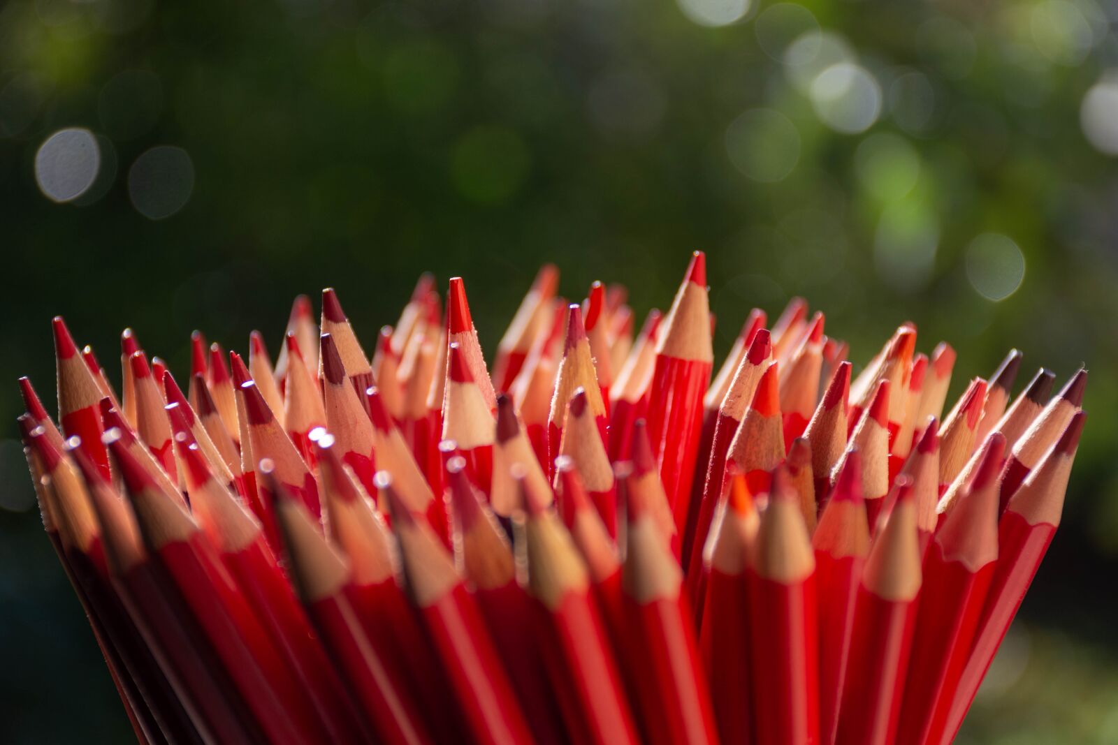 Nikon D7200 sample photo. Colored pencils, colorful, full photography