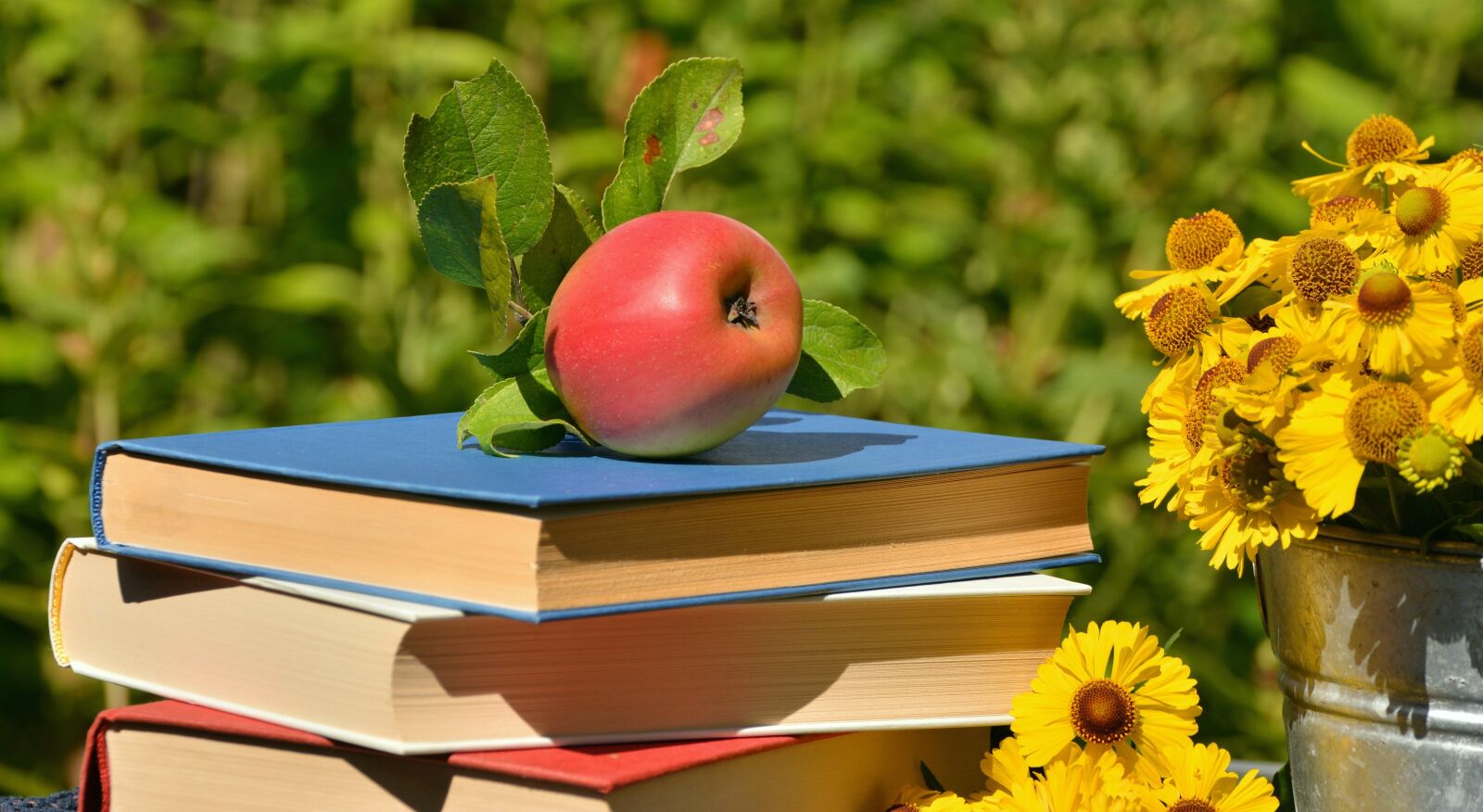 Nikon D5200 sample photo. Apple, books, garden photography