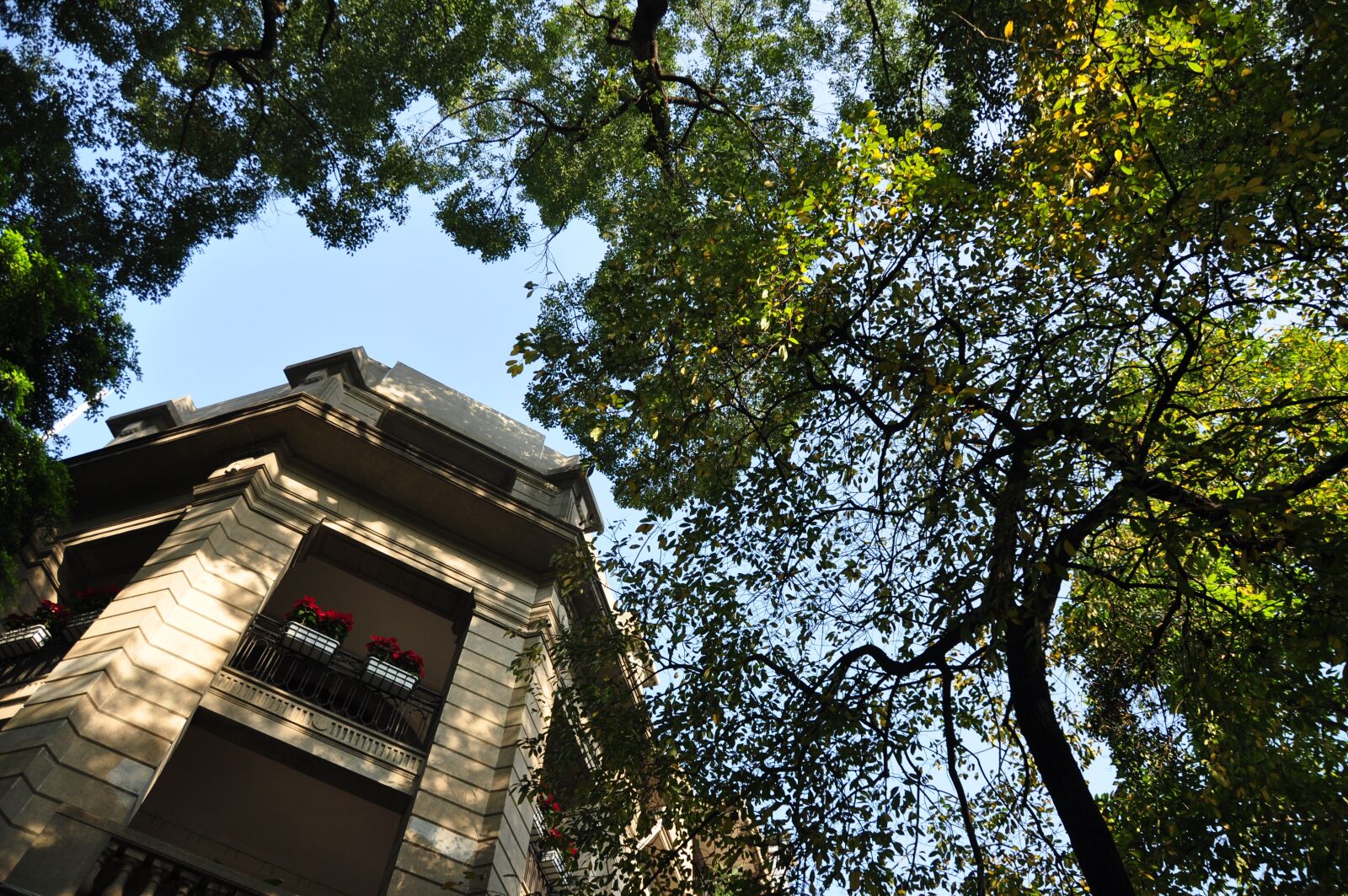 Nikon D90 sample photo. Trees, construction, sky photography