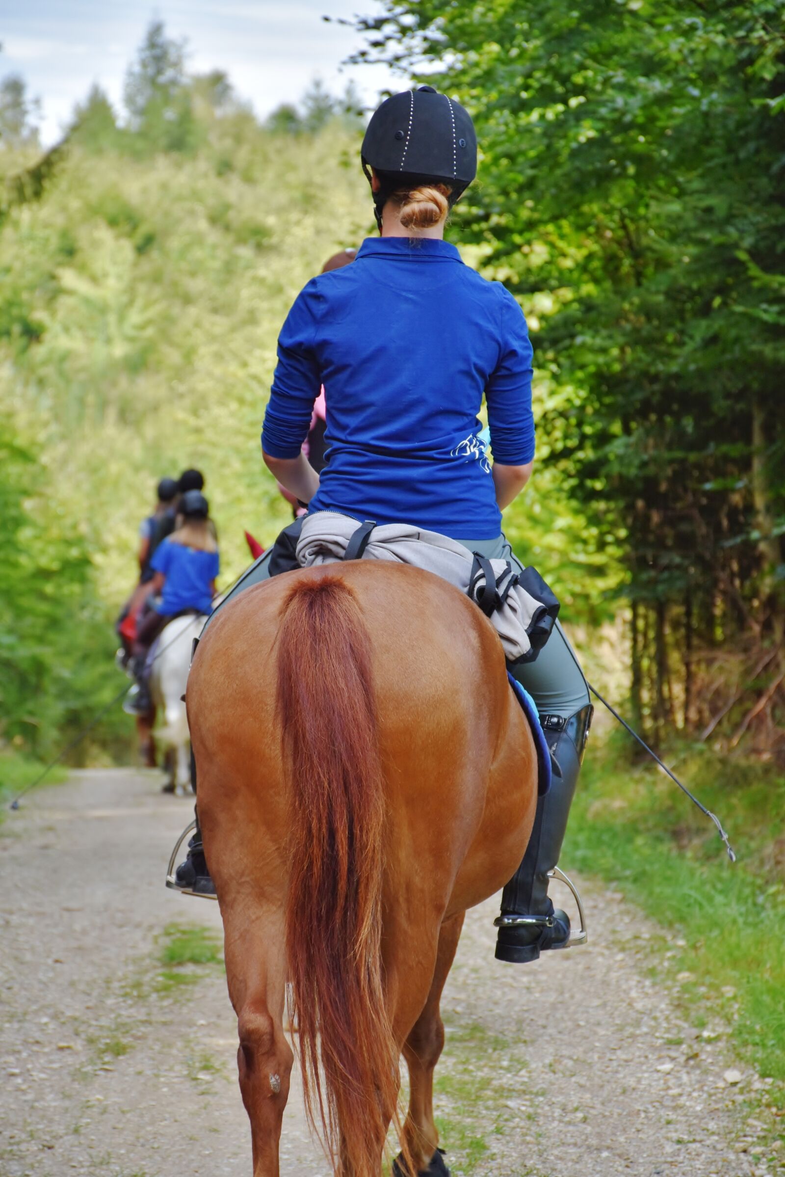 Nikon D7200 sample photo. Horse, reiter, ride photography