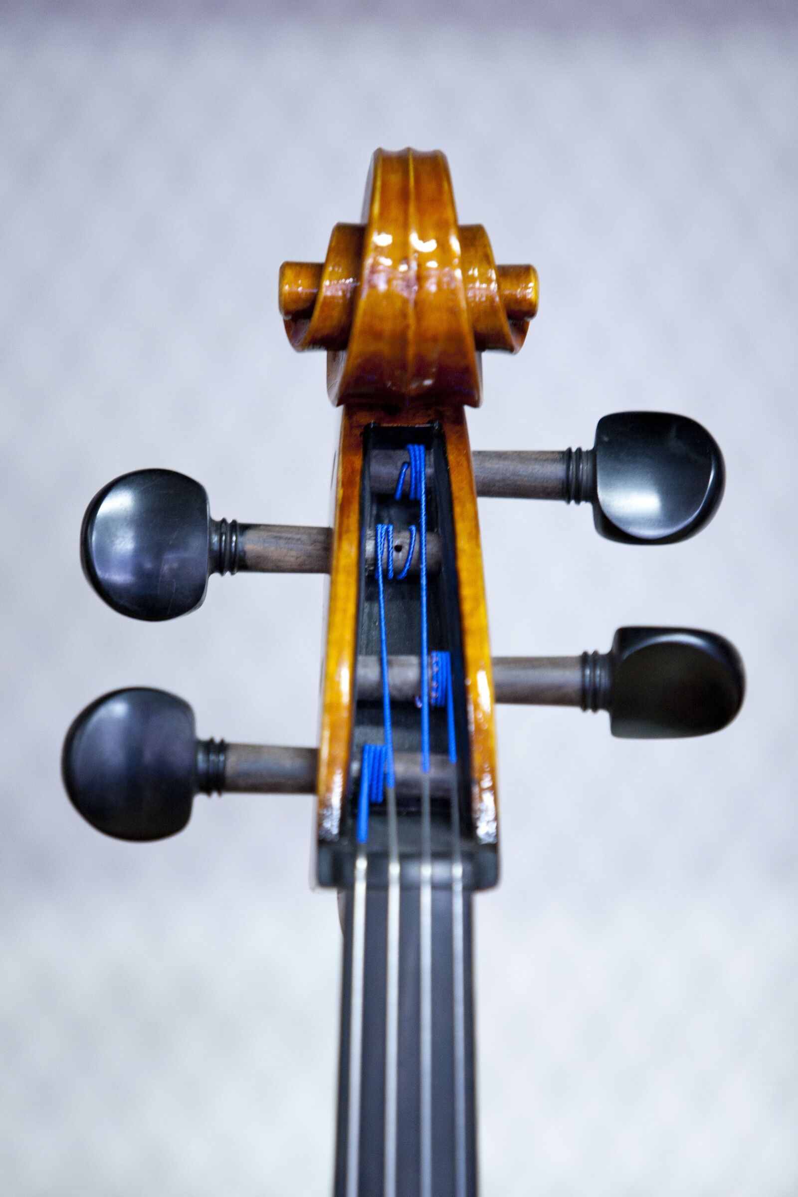 Canon EOS 5D sample photo. Violin, music, instrument photography
