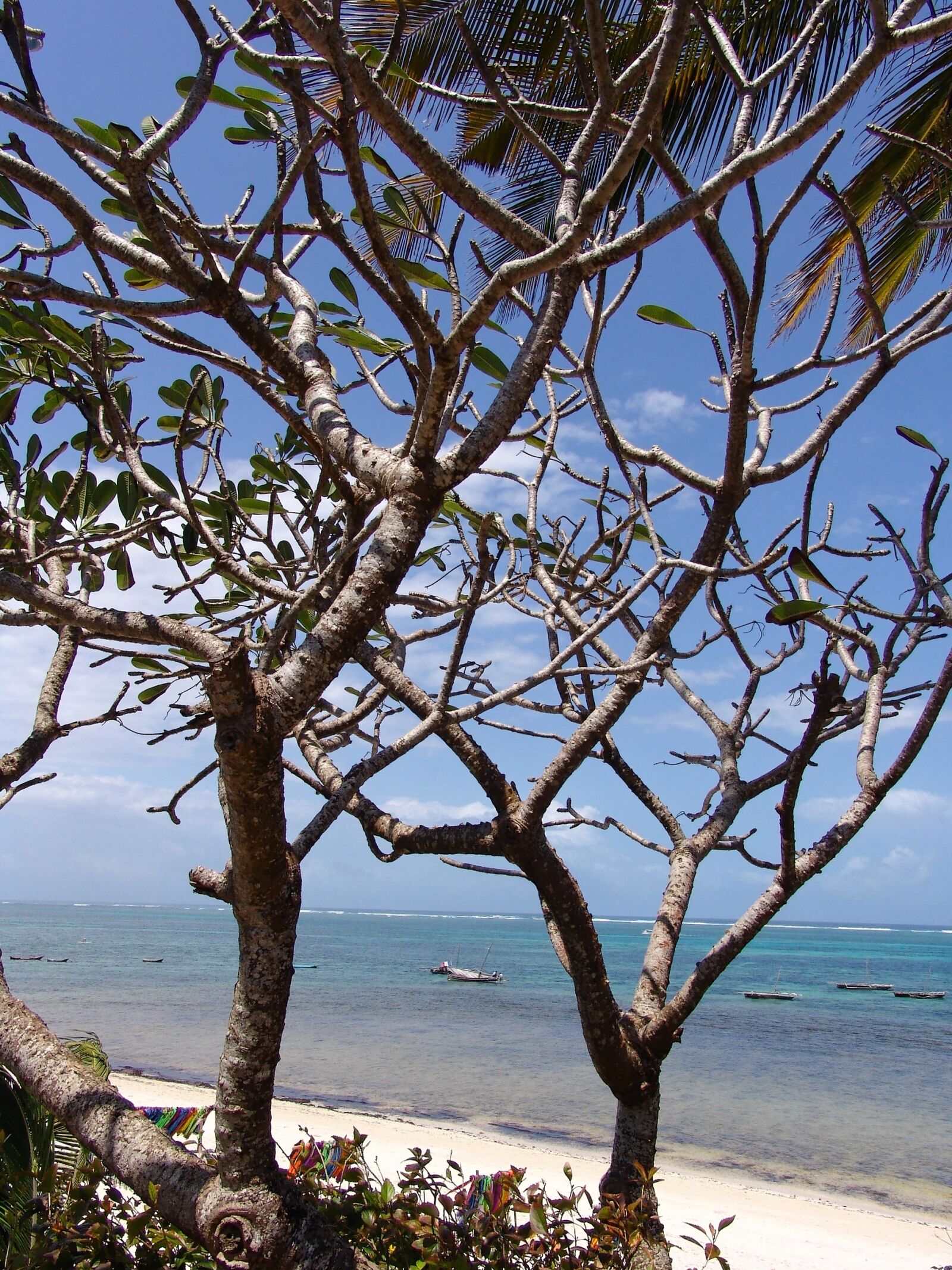 Sony DSC-F828 sample photo. Africa, beach, ocean photography