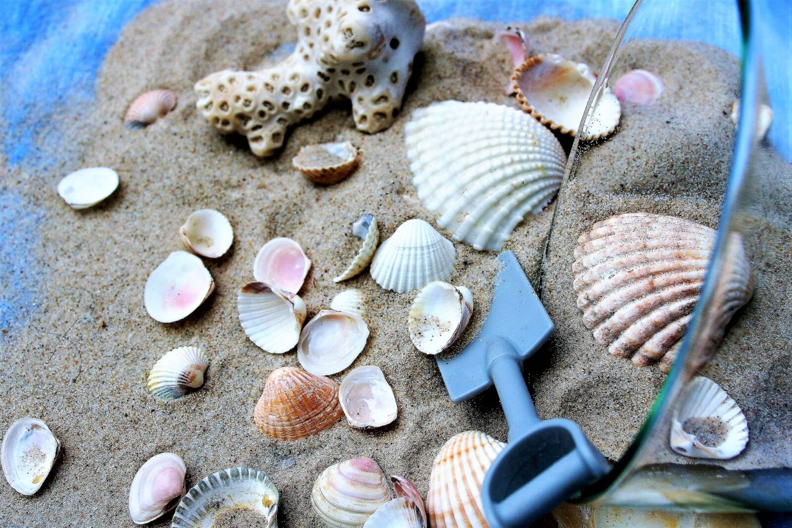 Canon EOS 400D (EOS Digital Rebel XTi / EOS Kiss Digital X) sample photo. Cup, seashell, sand photography