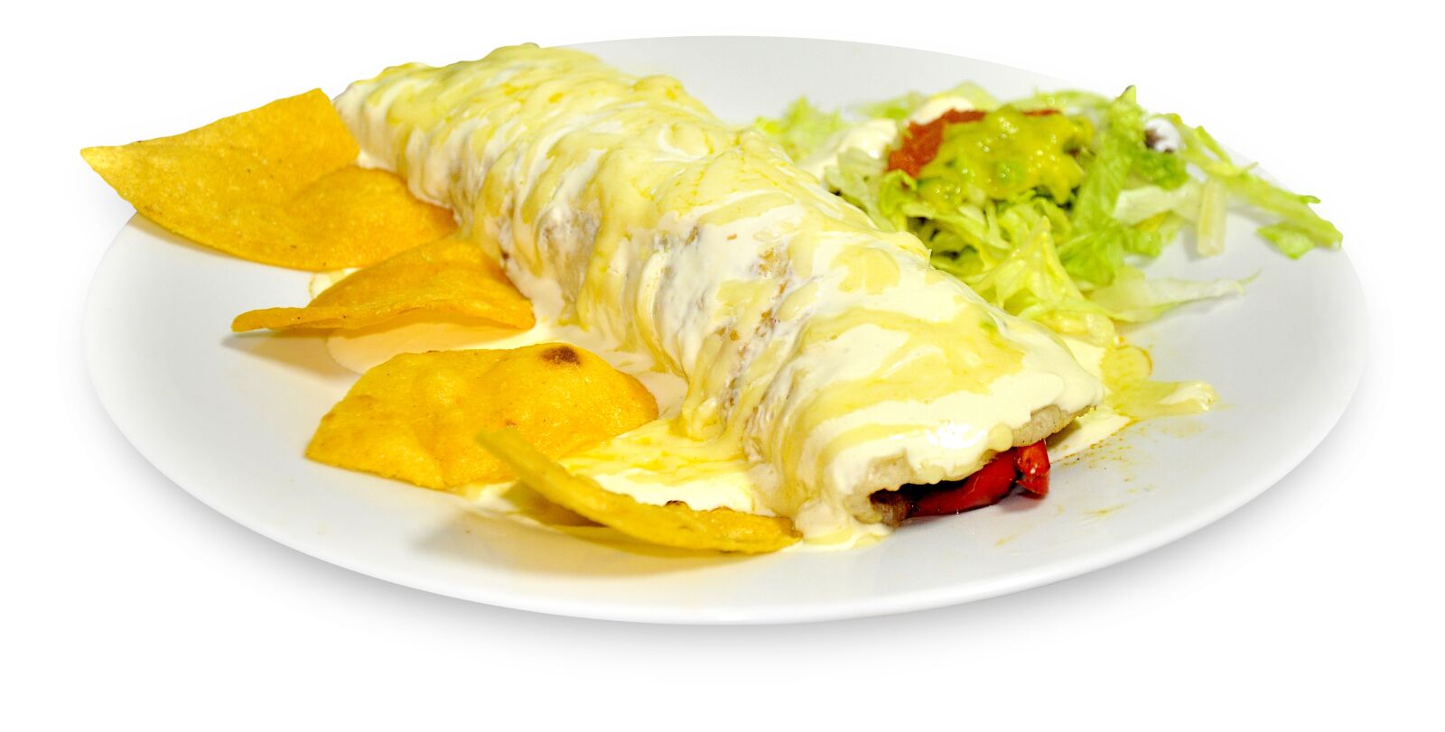Nikon D90 sample photo. Burrito gratin, nachos, gratin photography