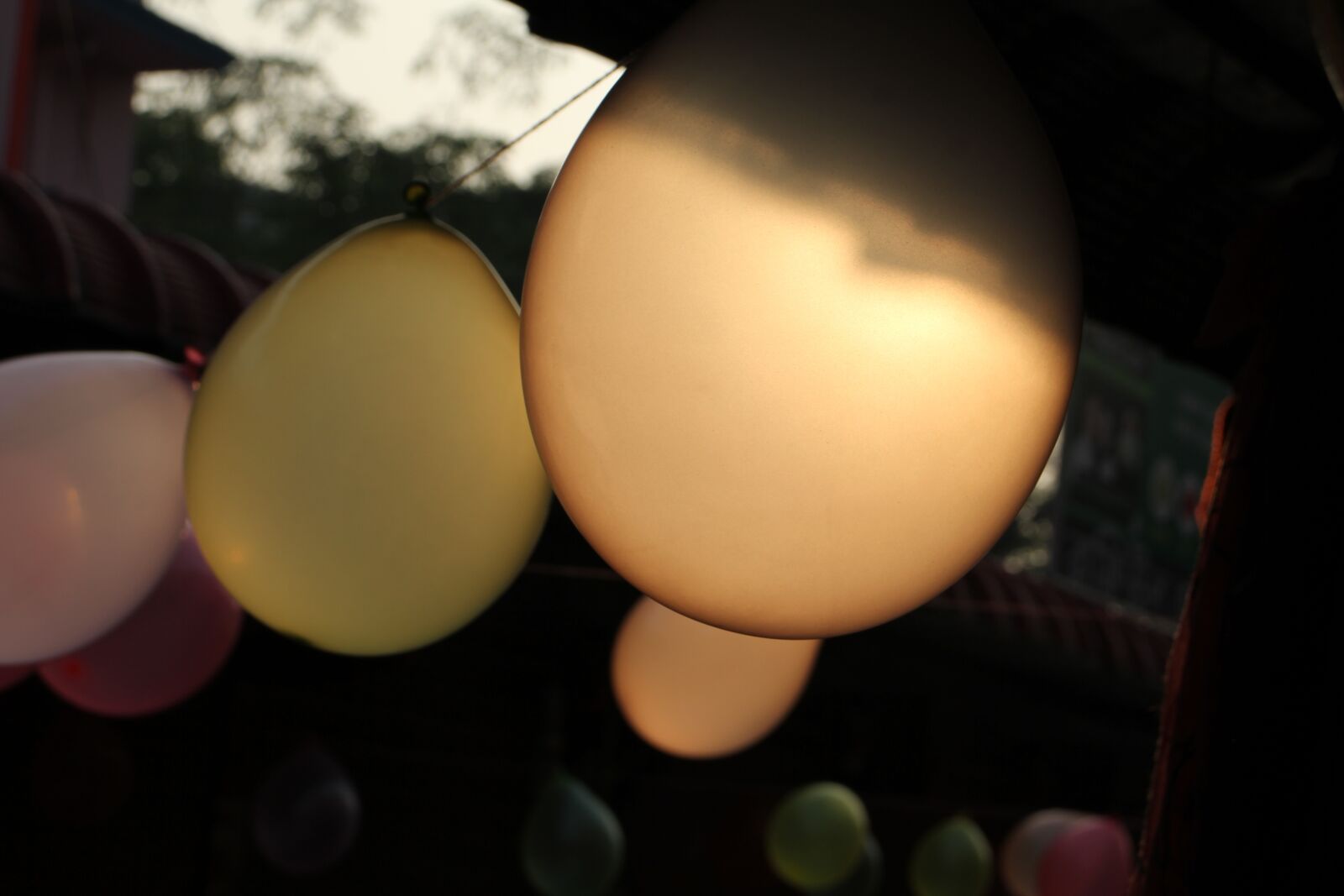 Canon EOS 60D sample photo. Afternoon, sun, sunset photography