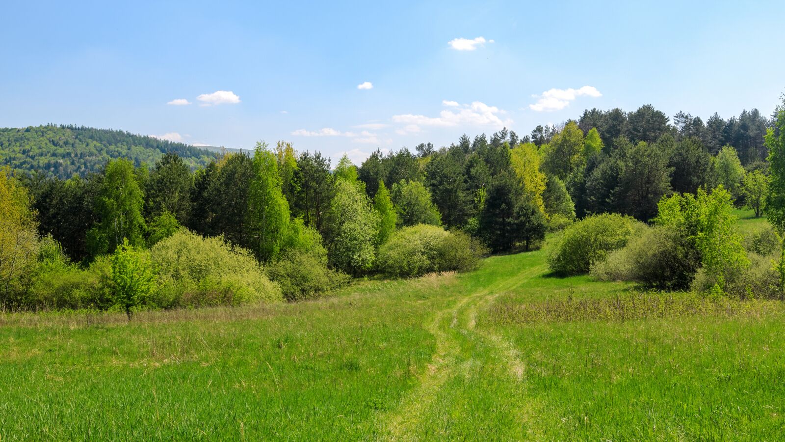 Nikon D7000 sample photo. Panorama mountain, meadow, summer photography