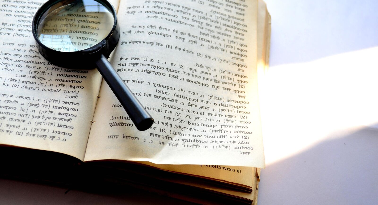 Nikon D5100 sample photo. Magnifying glass, dictionary, document photography