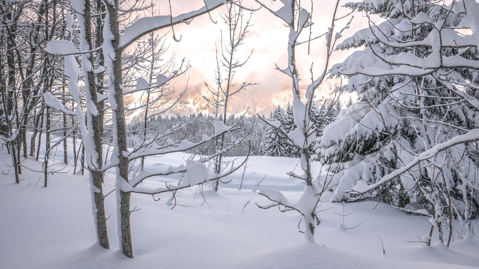 Panasonic Lumix DMC-LX100 sample photo. Snow, winter, frost photography