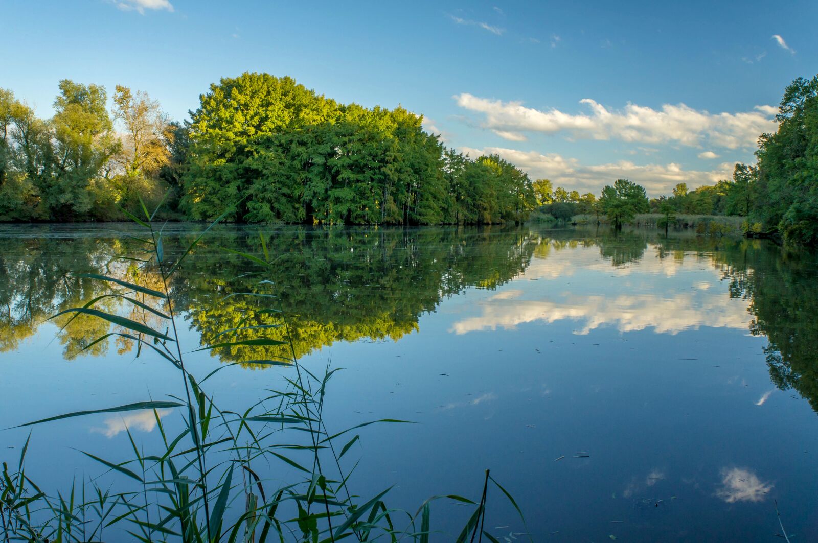 Sony Alpha NEX-F3 + Sony E 18-55mm F3.5-5.6 OSS sample photo. Pond, lake, landscape photography
