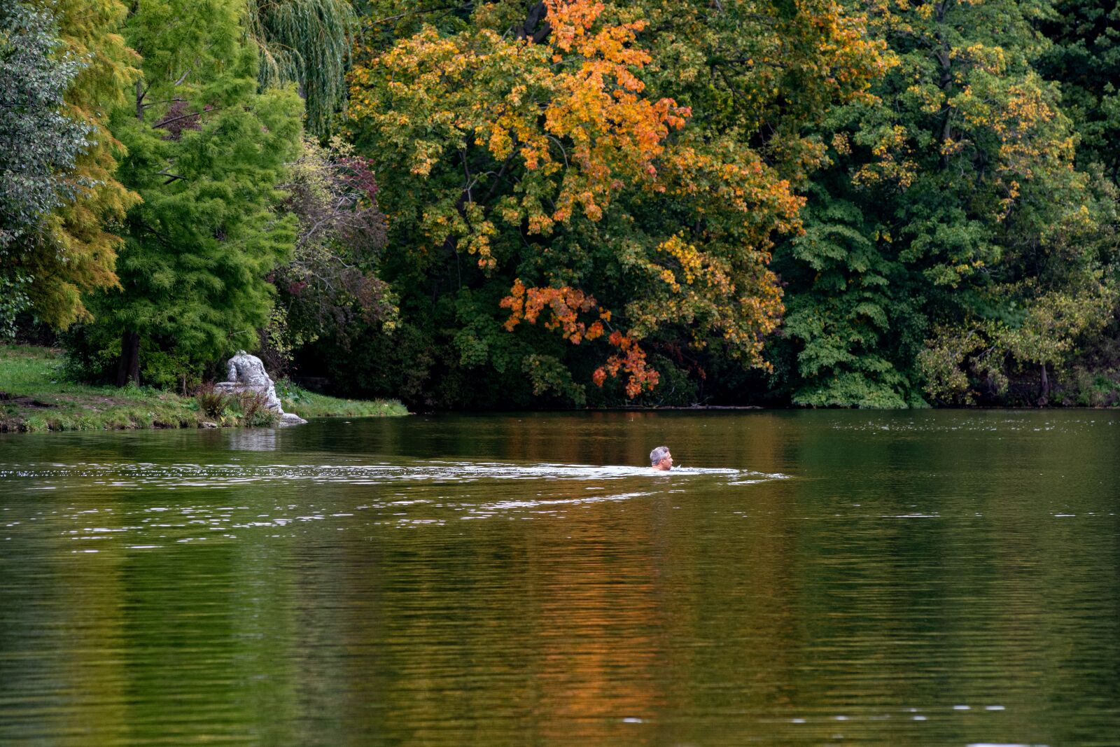 Sigma sample photo. Autumn, pond, swim photography