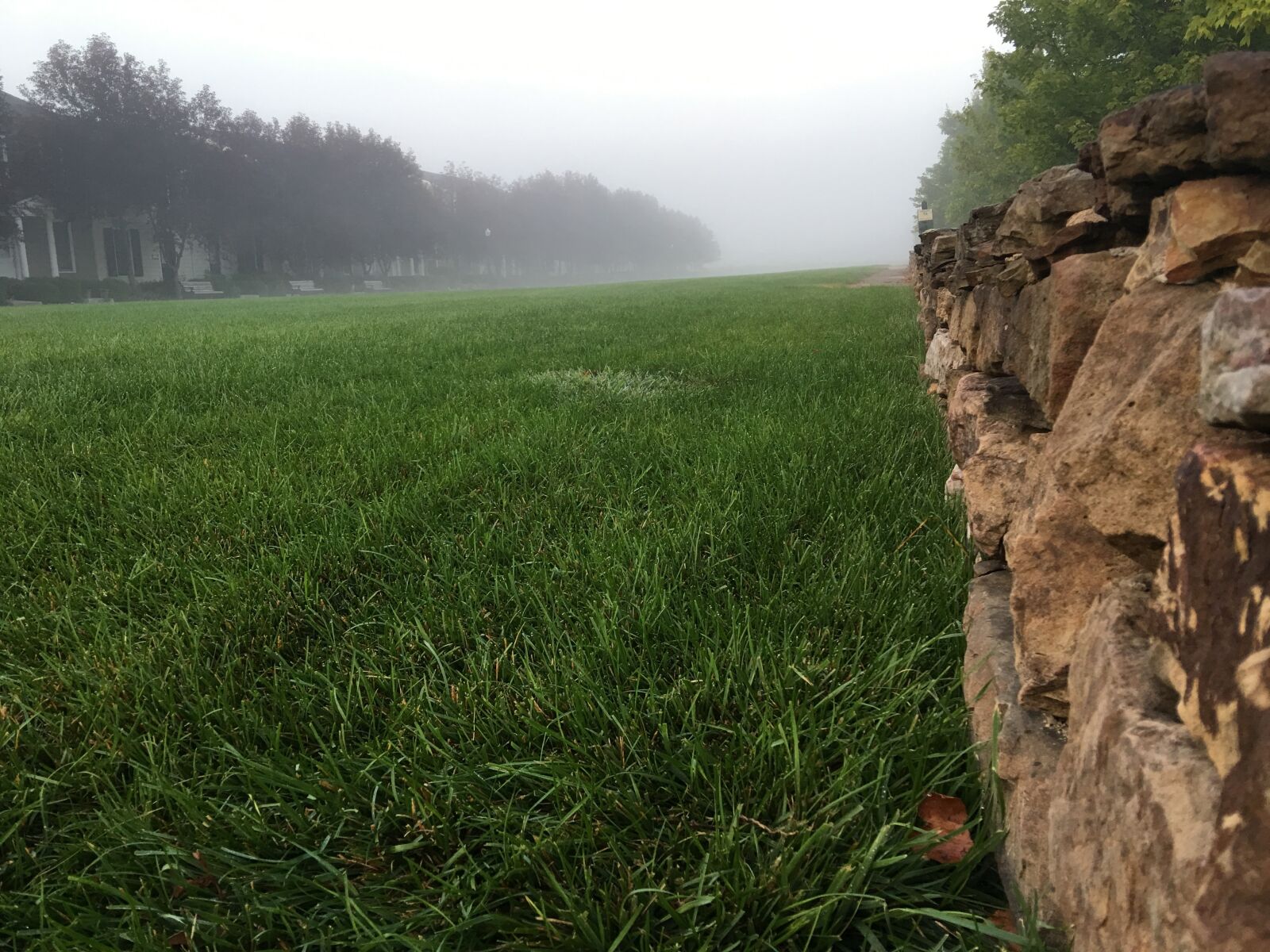 Apple iPhone 6s Plus sample photo. Field, new town, stones photography