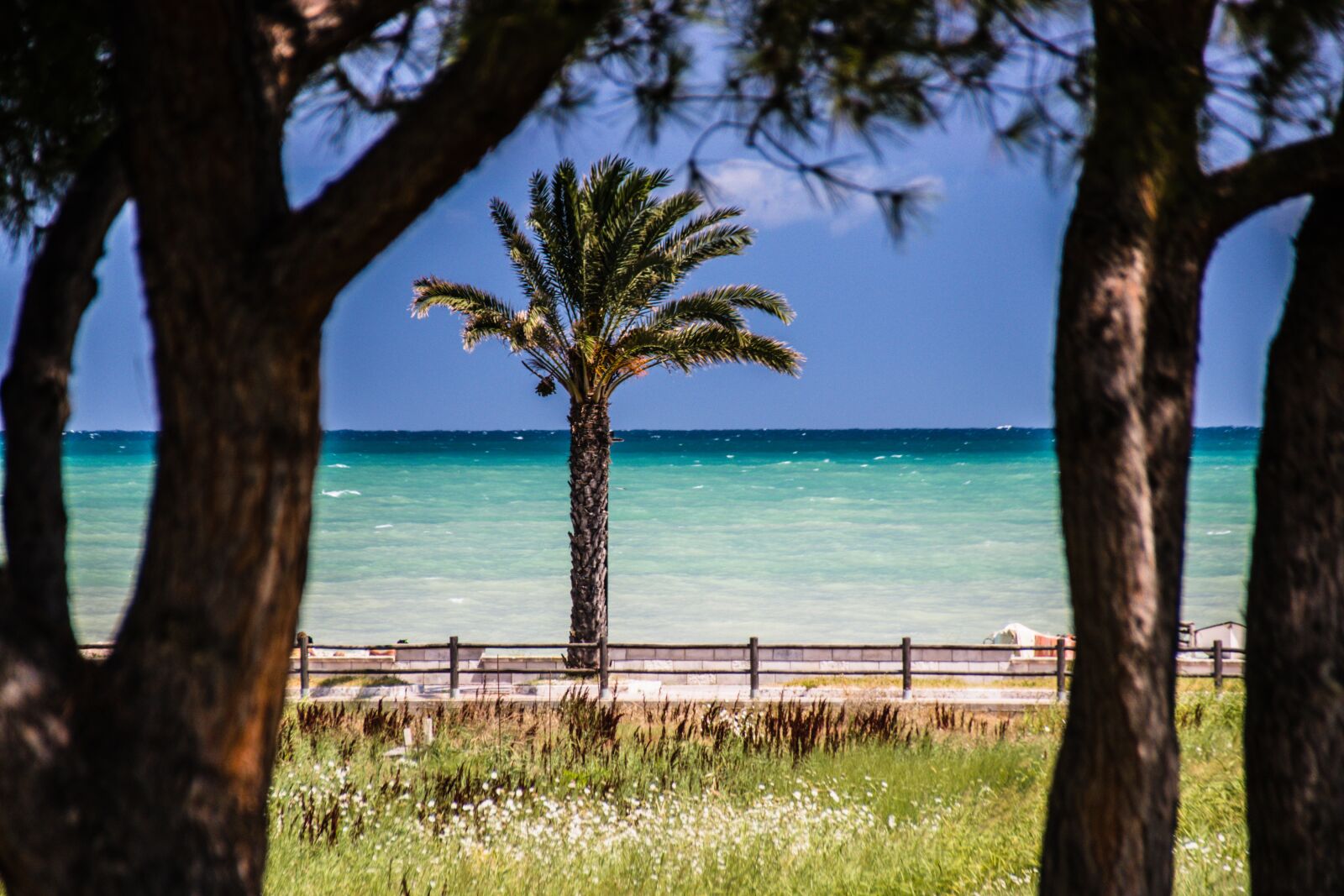 Canon EOS 80D sample photo. Palma, sea, ferragosto photography