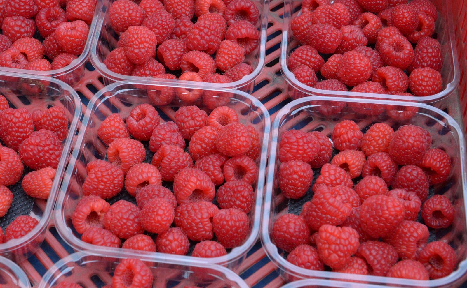 Nikon D4 sample photo. Raspberry, raspberries, fruits photography