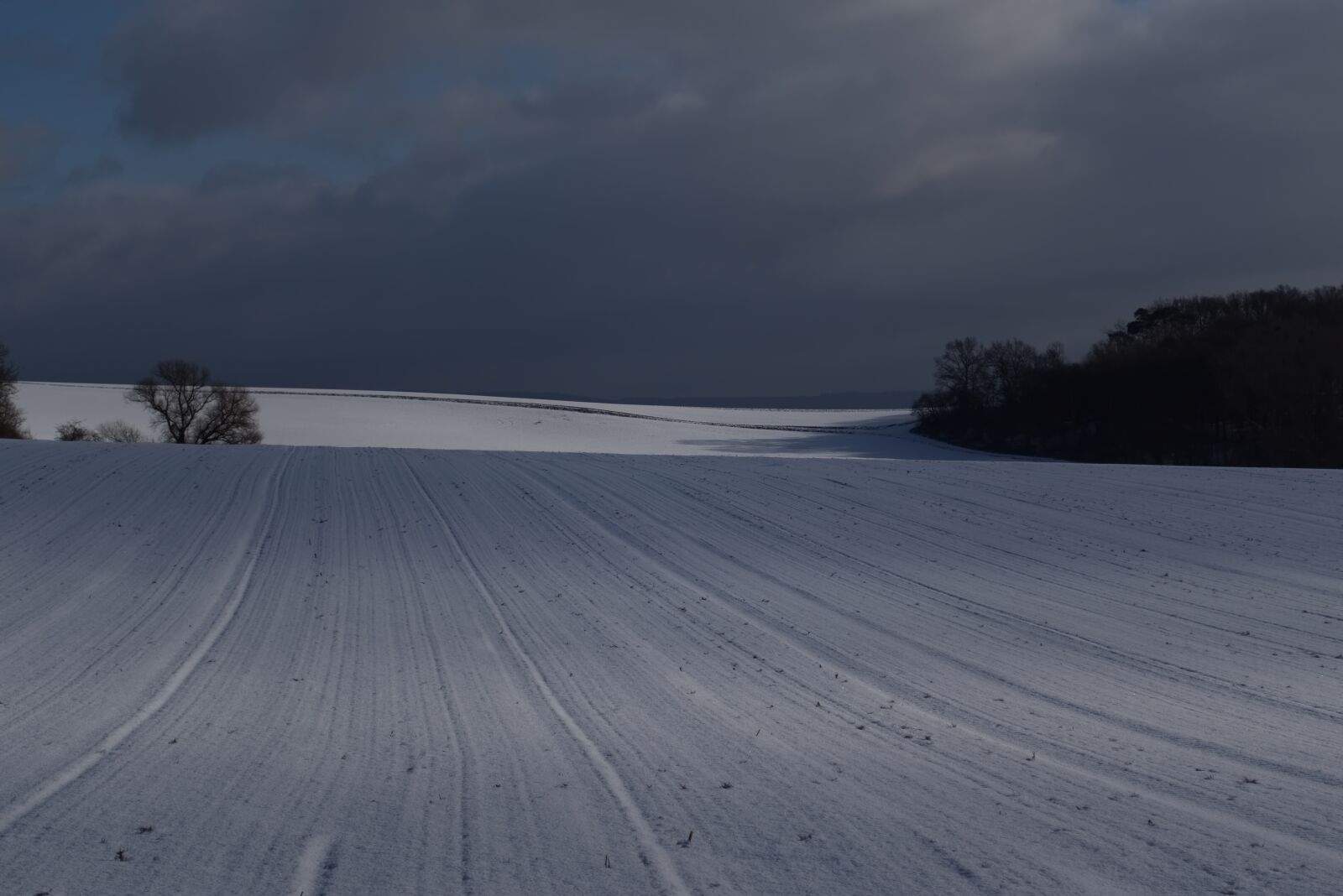 Nikon D5500 sample photo. Winter, cold, snow photography