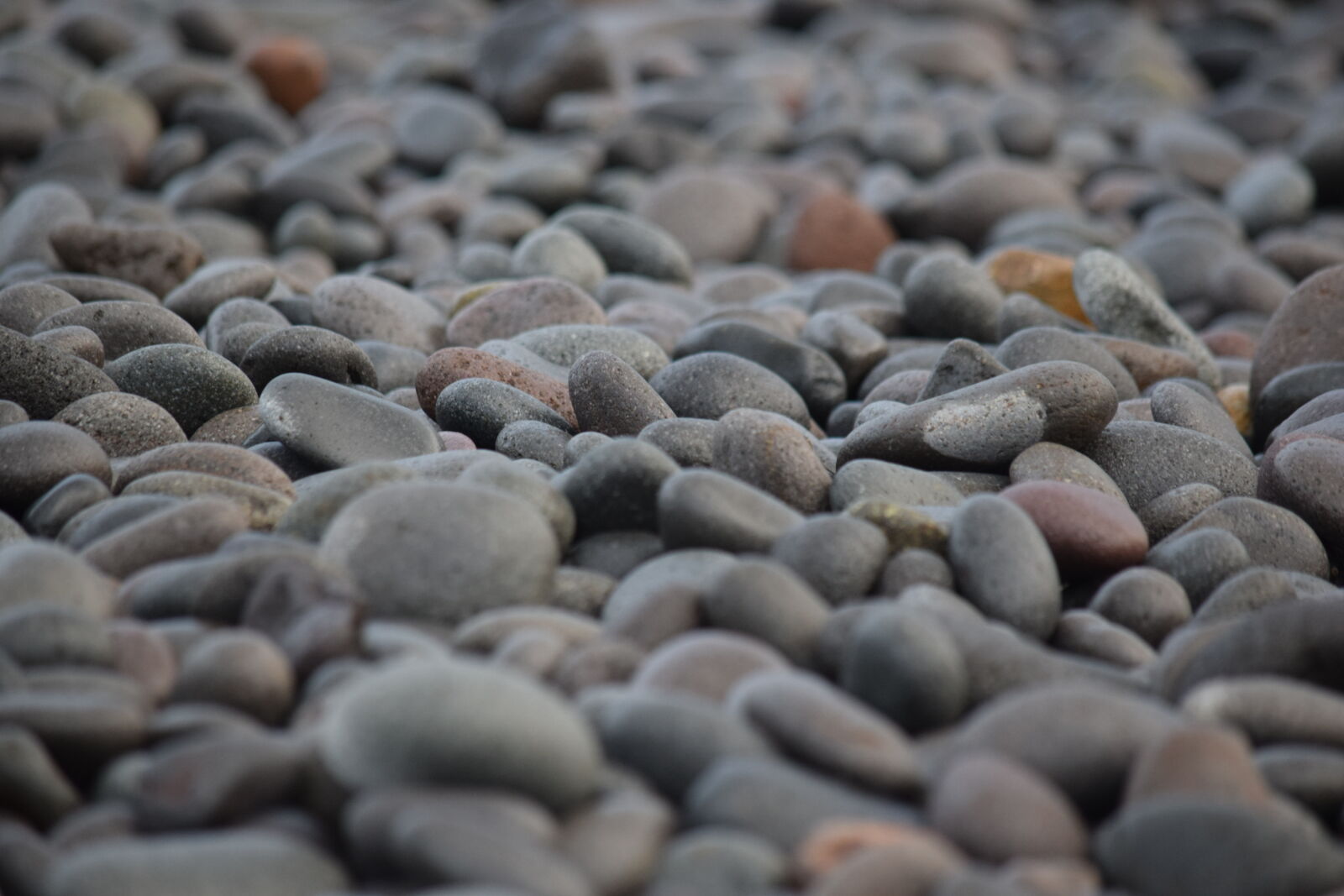 Nikon D3300 sample photo. Beach, el, salvador, el photography