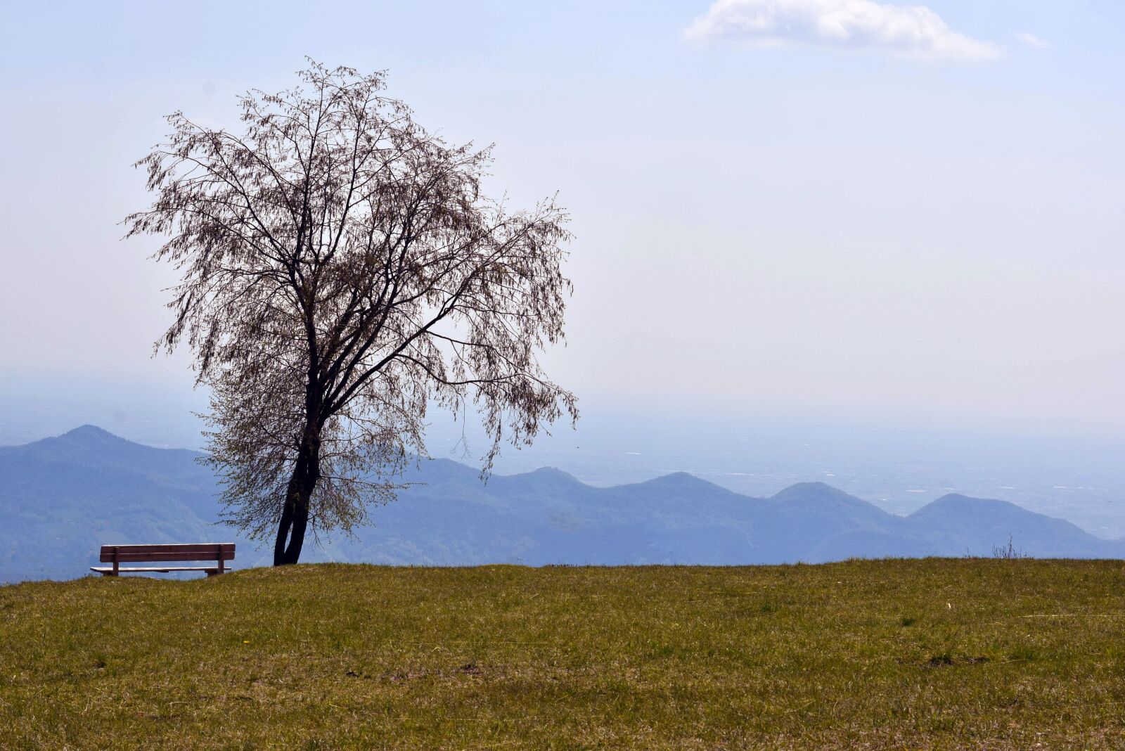 Nikon D5300 sample photo. Nature, tree, mountains photography