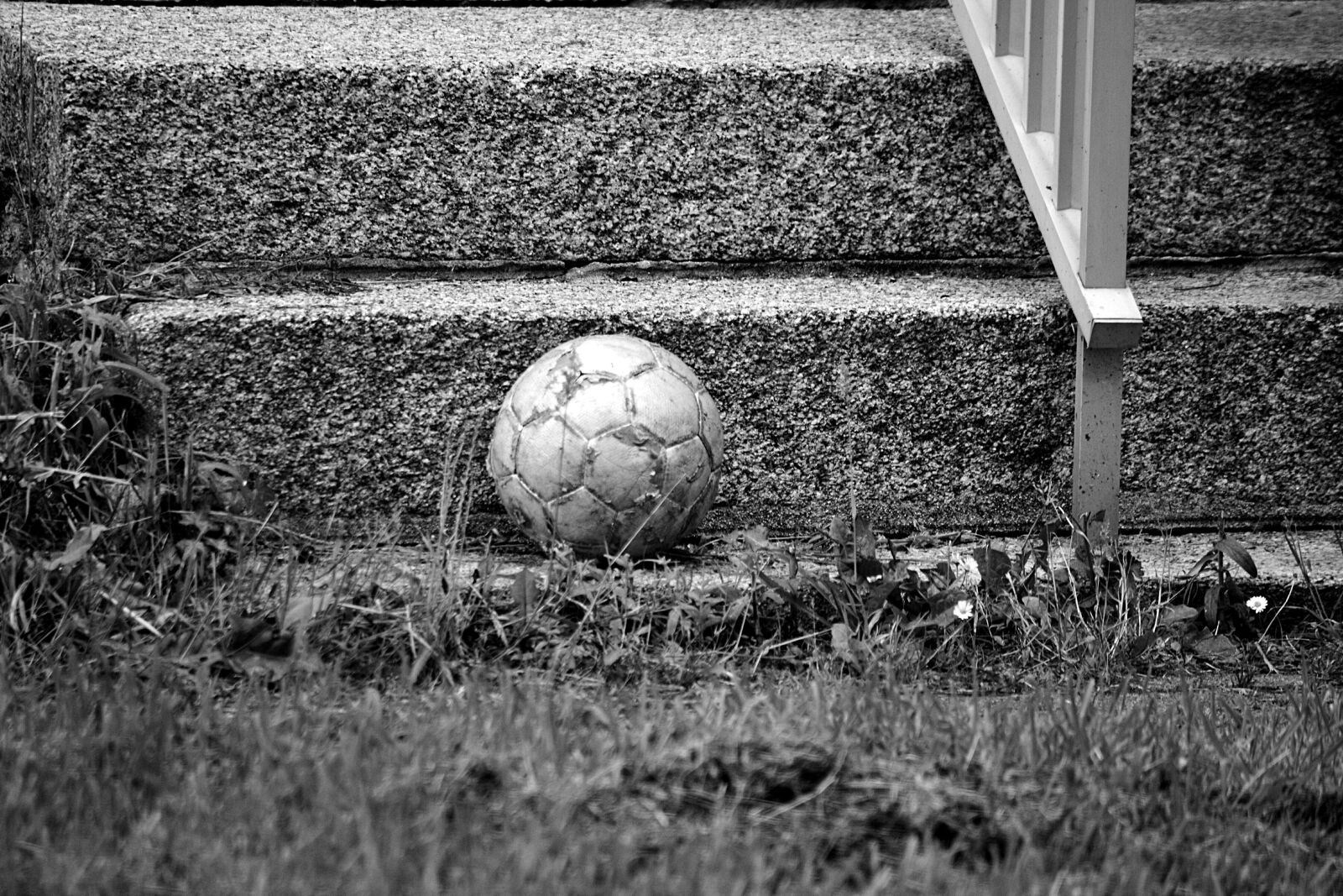 Nikon D5200 sample photo. Ball, game, sport photography