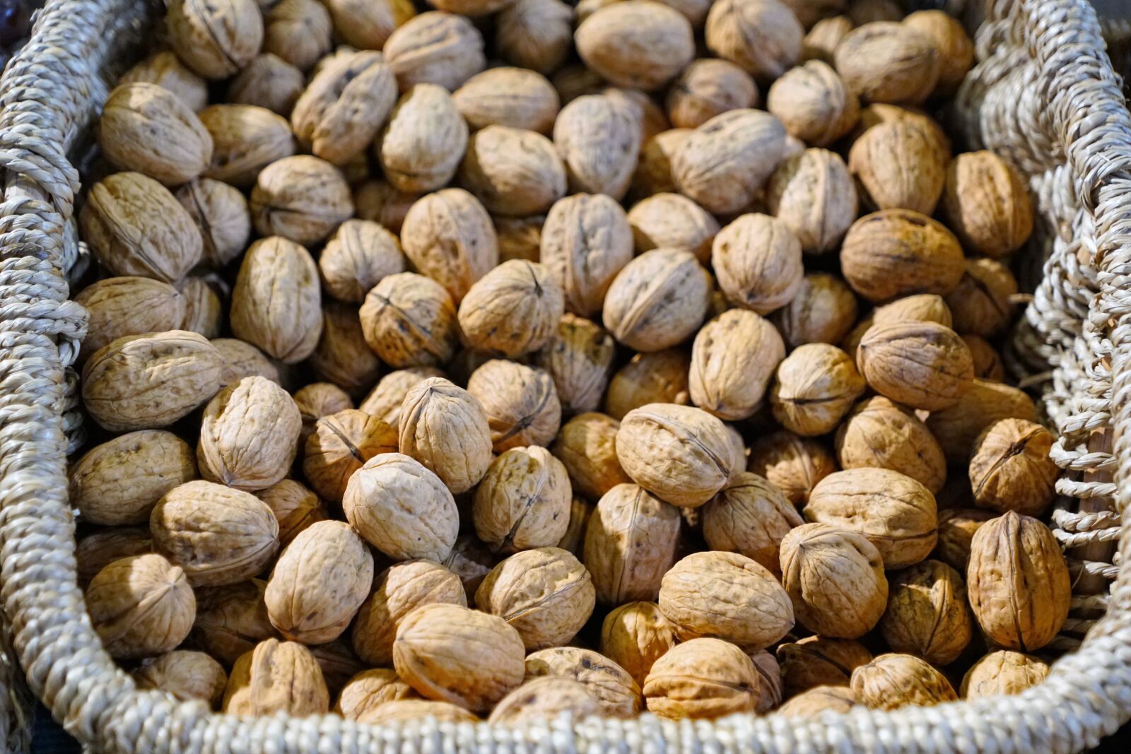 Sony ILCA-77M2 + Sony DT 16-50mm F2.8 SSM sample photo. Walnut, delicious, autumn photography