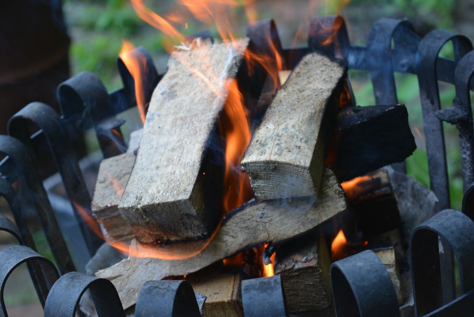 Nikon D5200 sample photo. Campfire, fire, barbecue photography