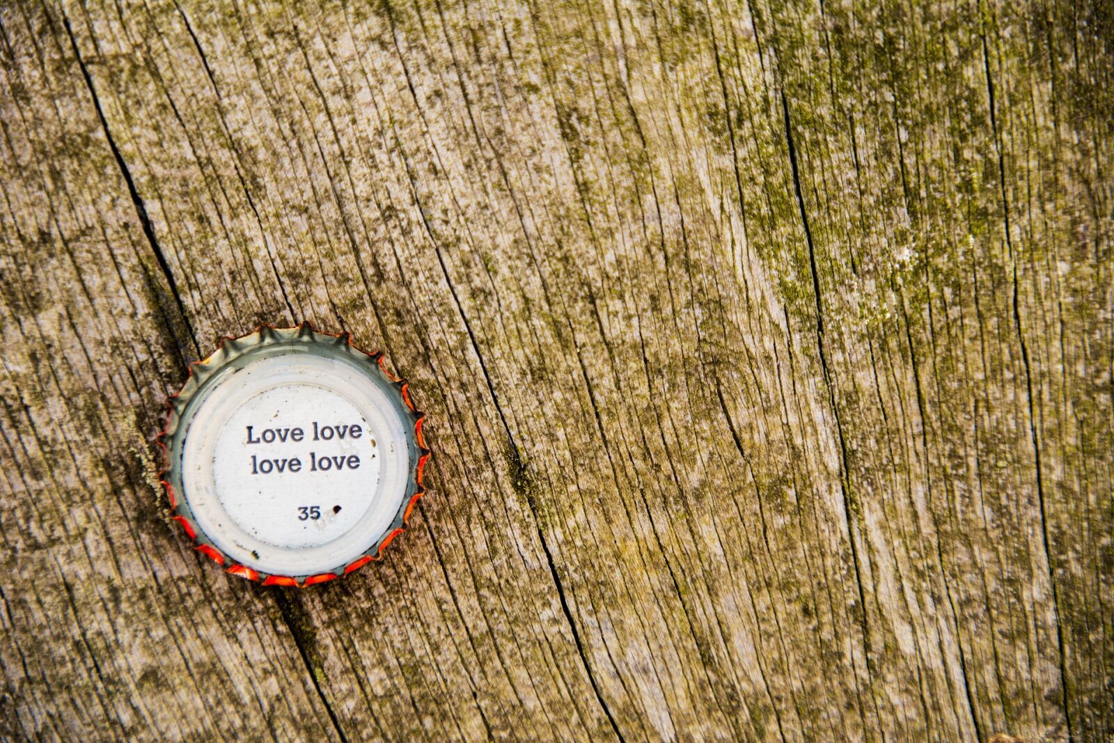 Nikon D7100 sample photo. Wooden, closeup, cap photography