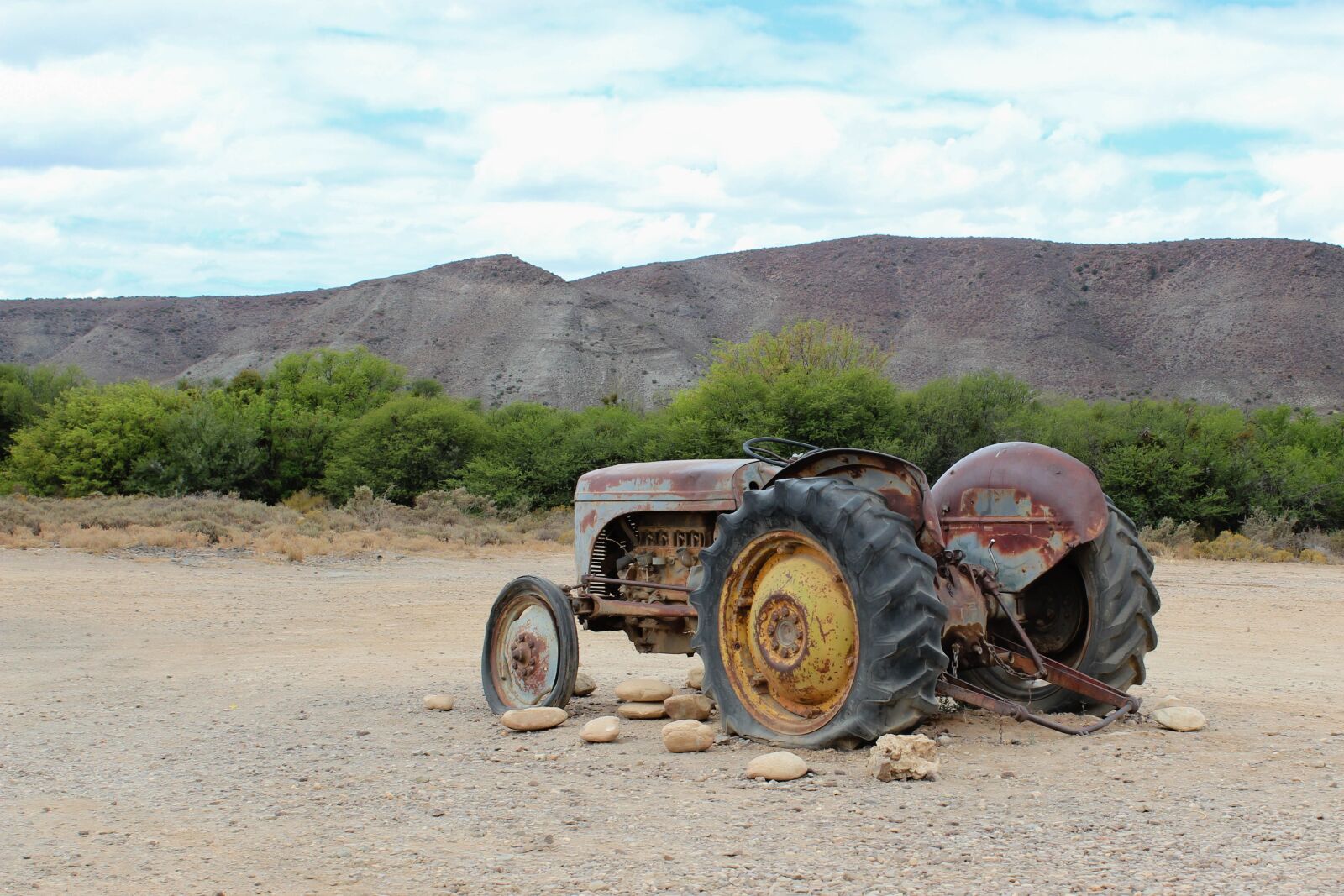 Canon EOS 600D (Rebel EOS T3i / EOS Kiss X5) sample photo. Tractor, oldtimer, agriculture photography
