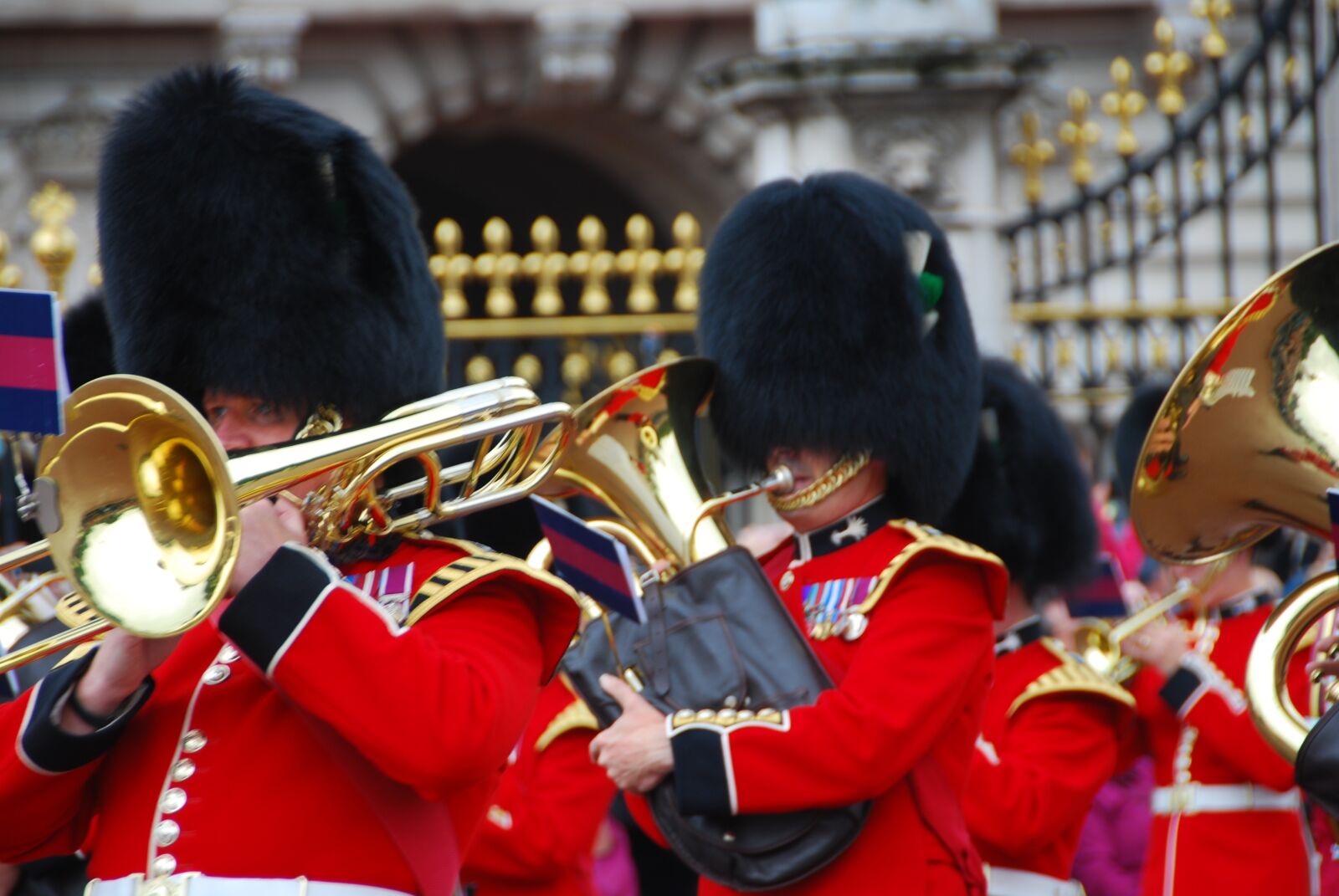 Nikon D80 sample photo. Guard, london, buckingham palace photography