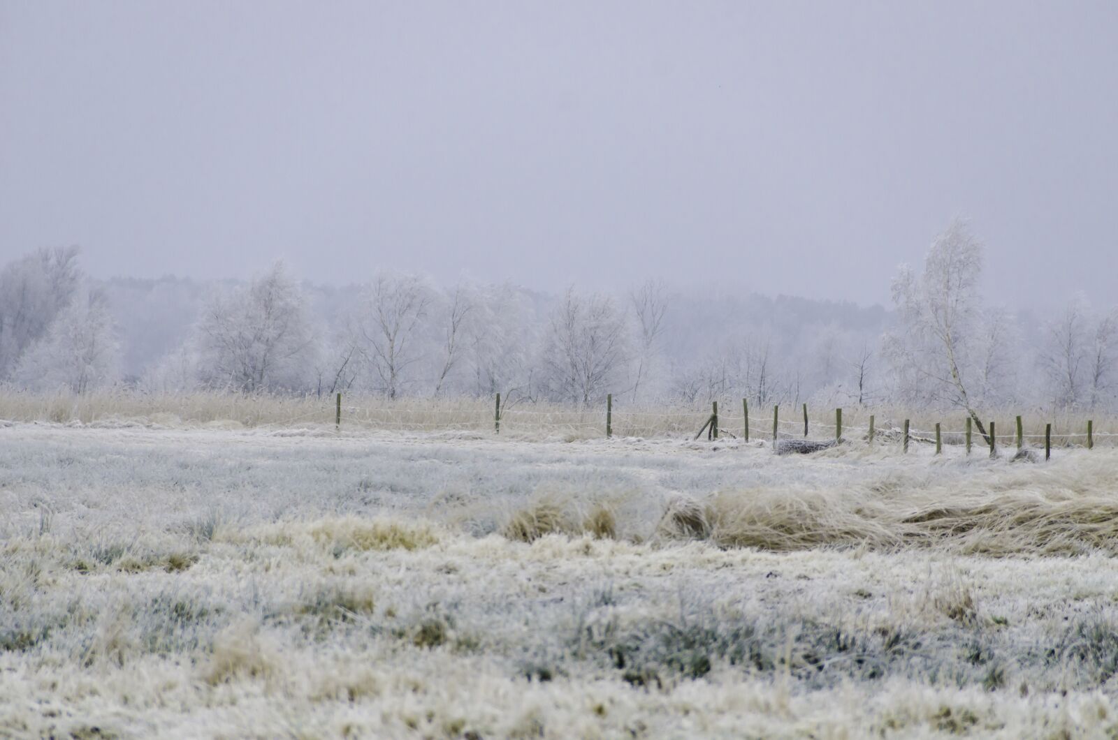 Nikon D7000 sample photo. Winter, nature, view photography