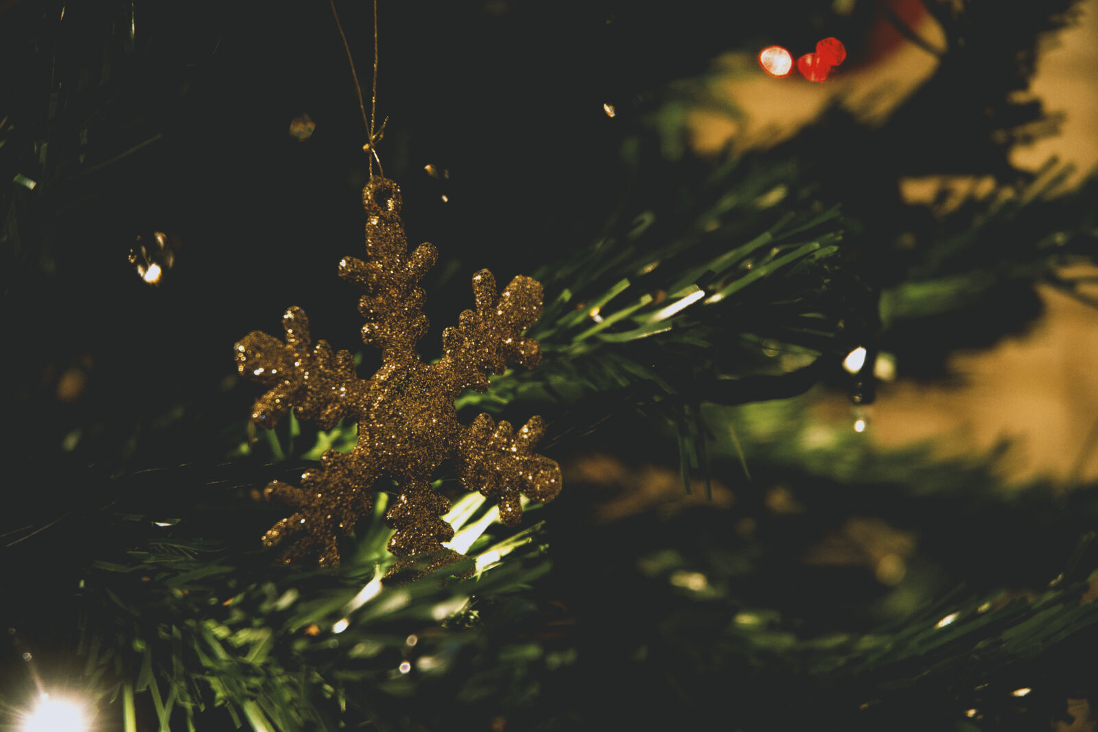 Nikon D3100 sample photo. Green, christmas, tree photography