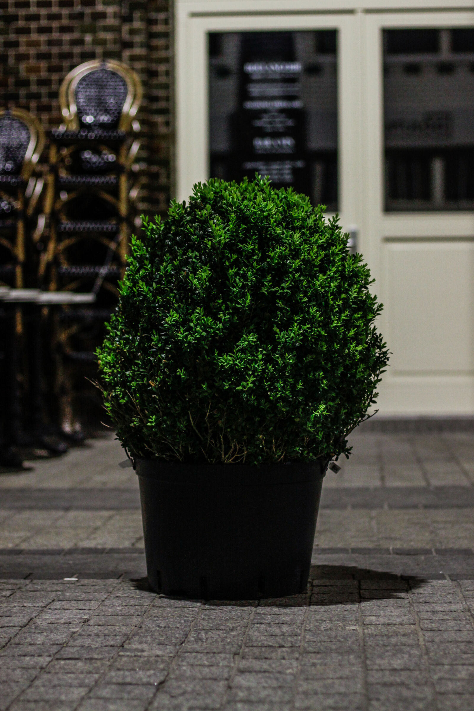 Canon EOS 50D + Canon EF 50mm F1.4 USM sample photo. Night photography