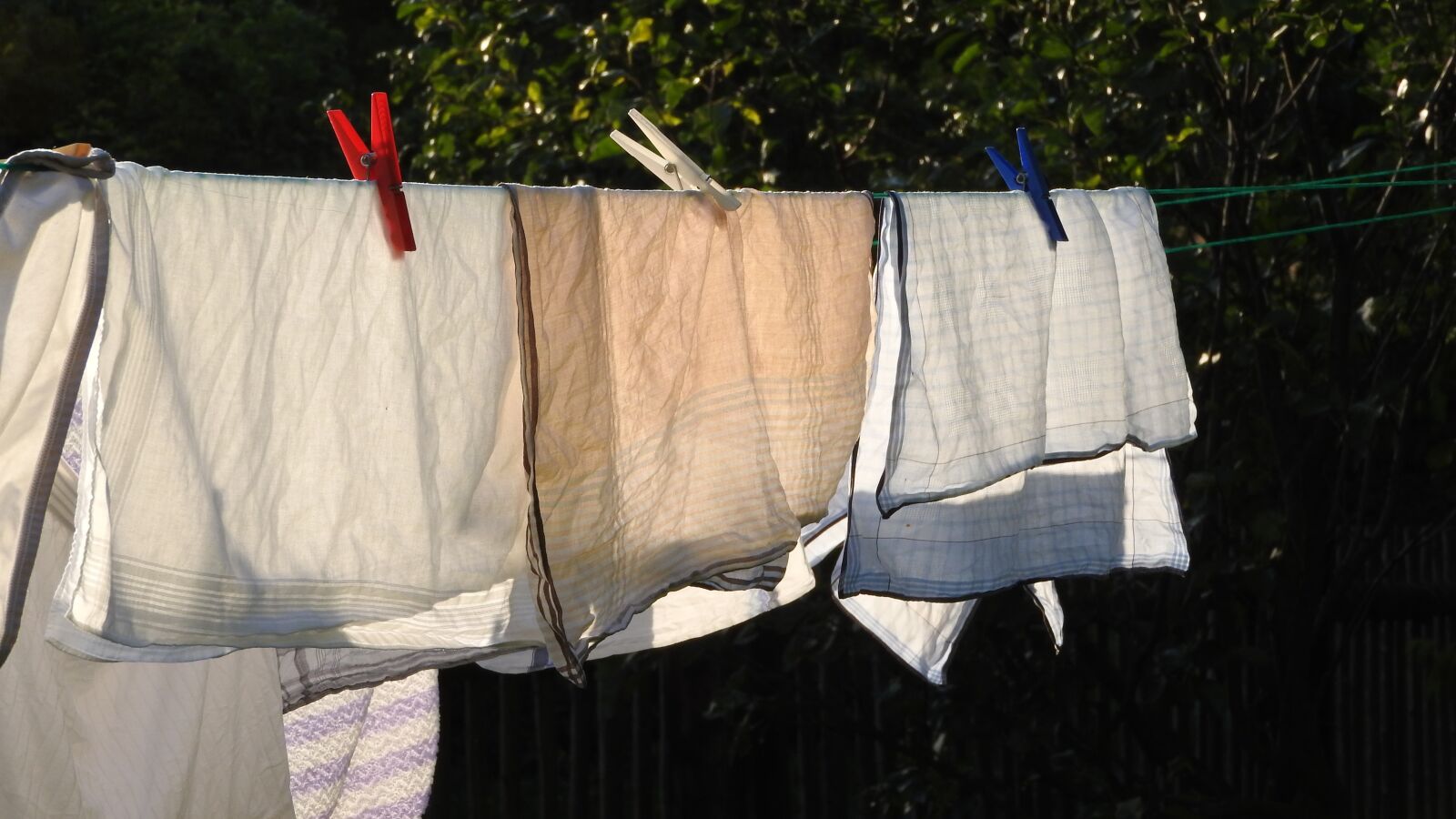 Nikon Coolpix P610 sample photo. Clothesline, funny, clothes photography