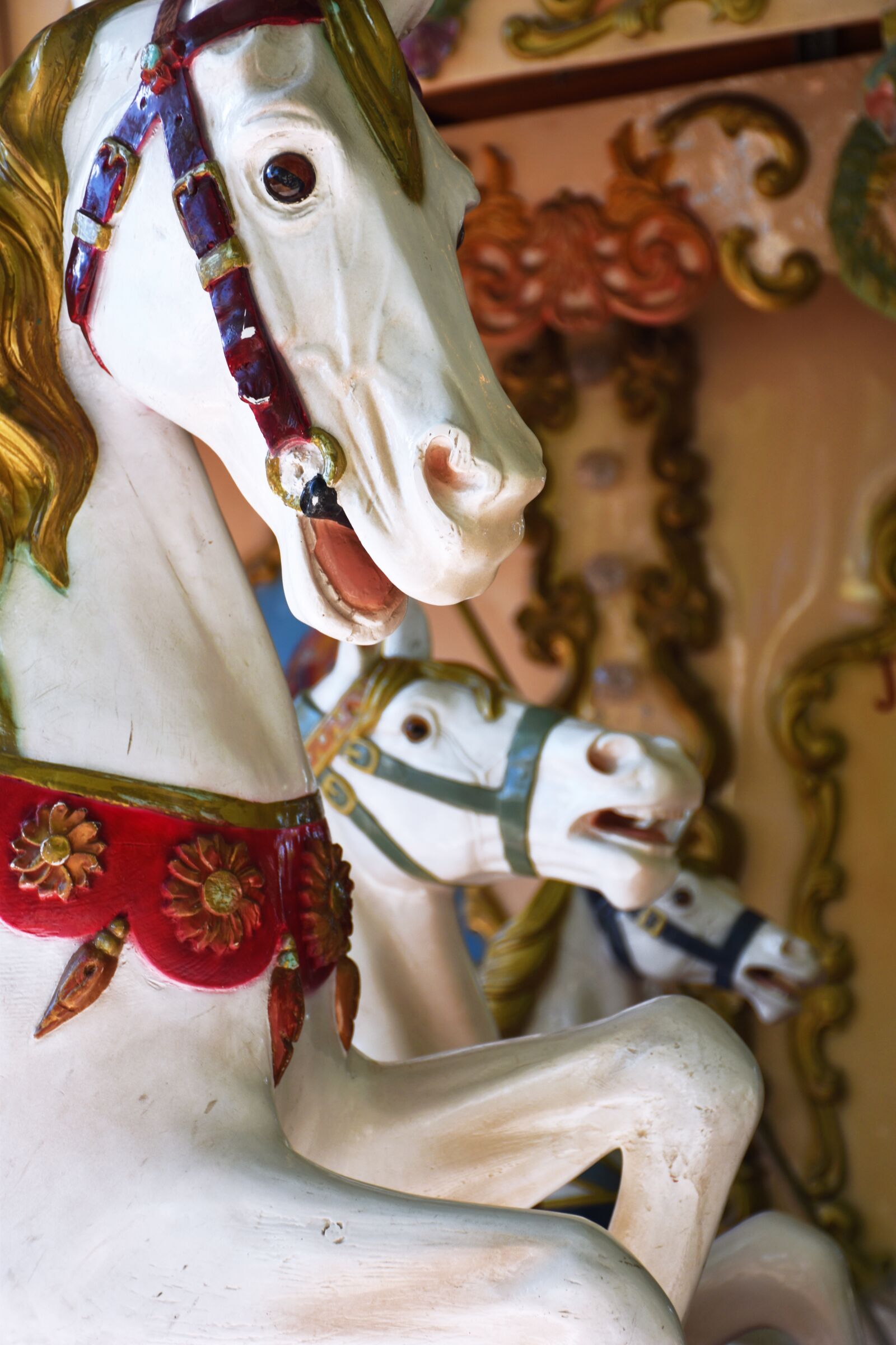 Nikon D5500 sample photo. Manege, horse, wood photography