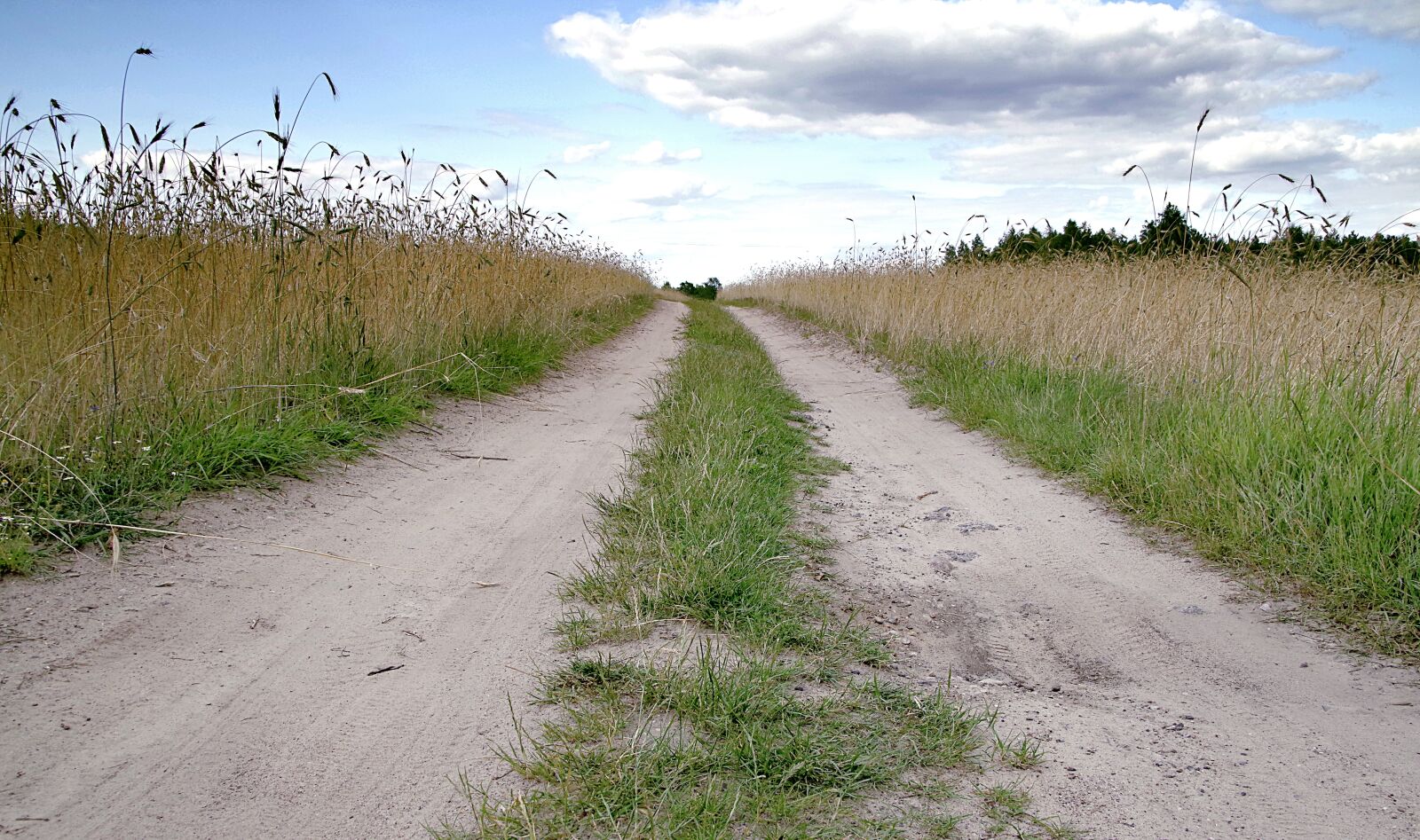 Pentax K-S2 sample photo. Way, field, the path photography