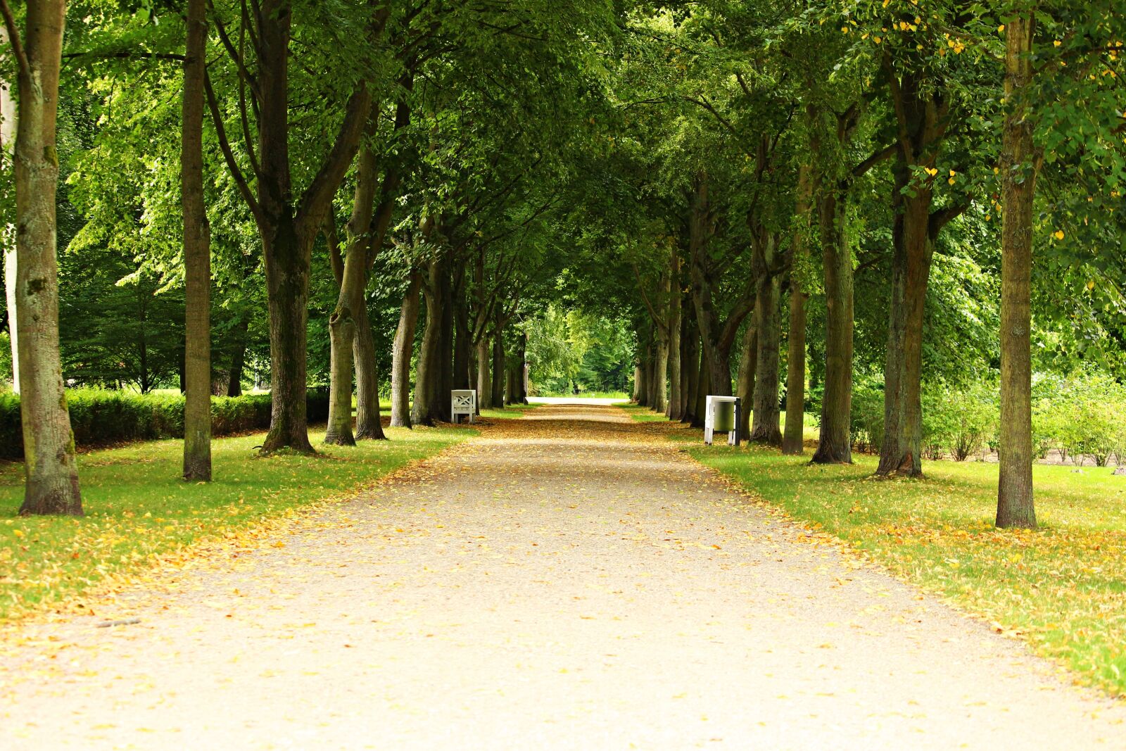 Canon EOS 100D (EOS Rebel SL1 / EOS Kiss X7) sample photo. Avenue, park, ludwigslust-parchim photography